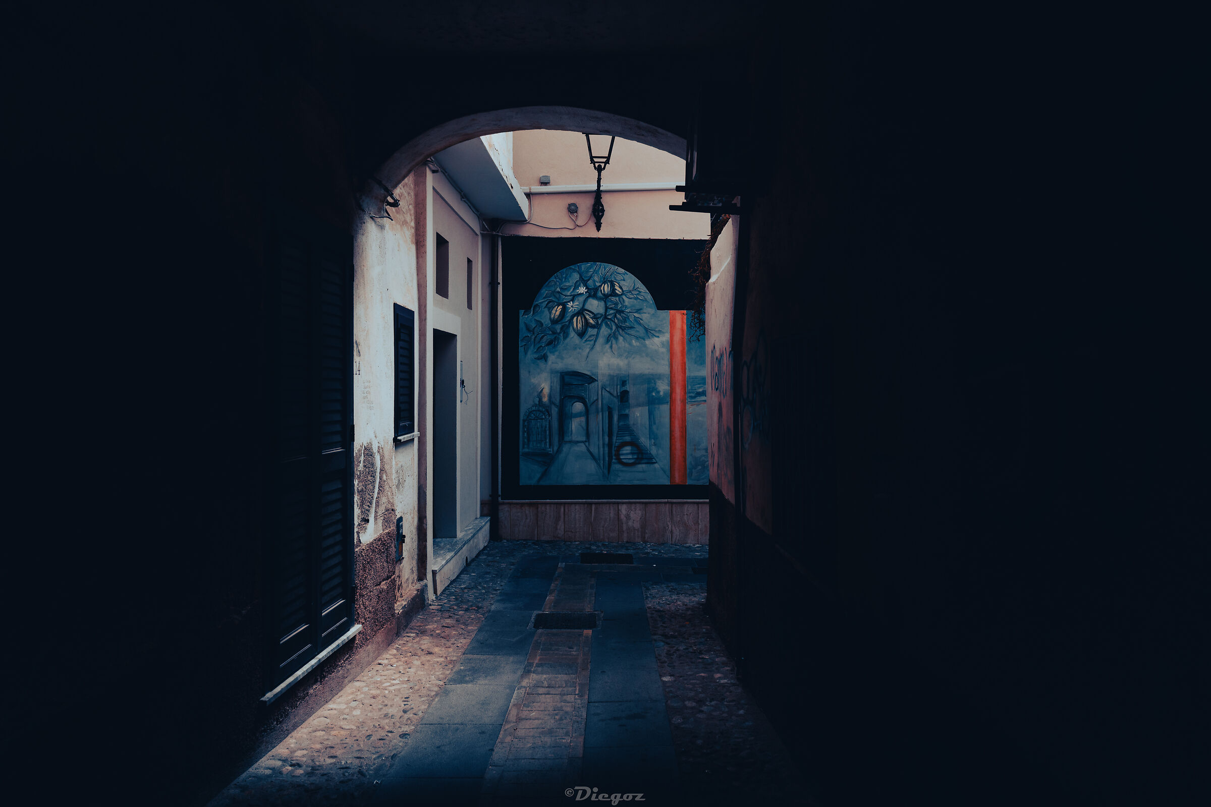 Untitled Photo