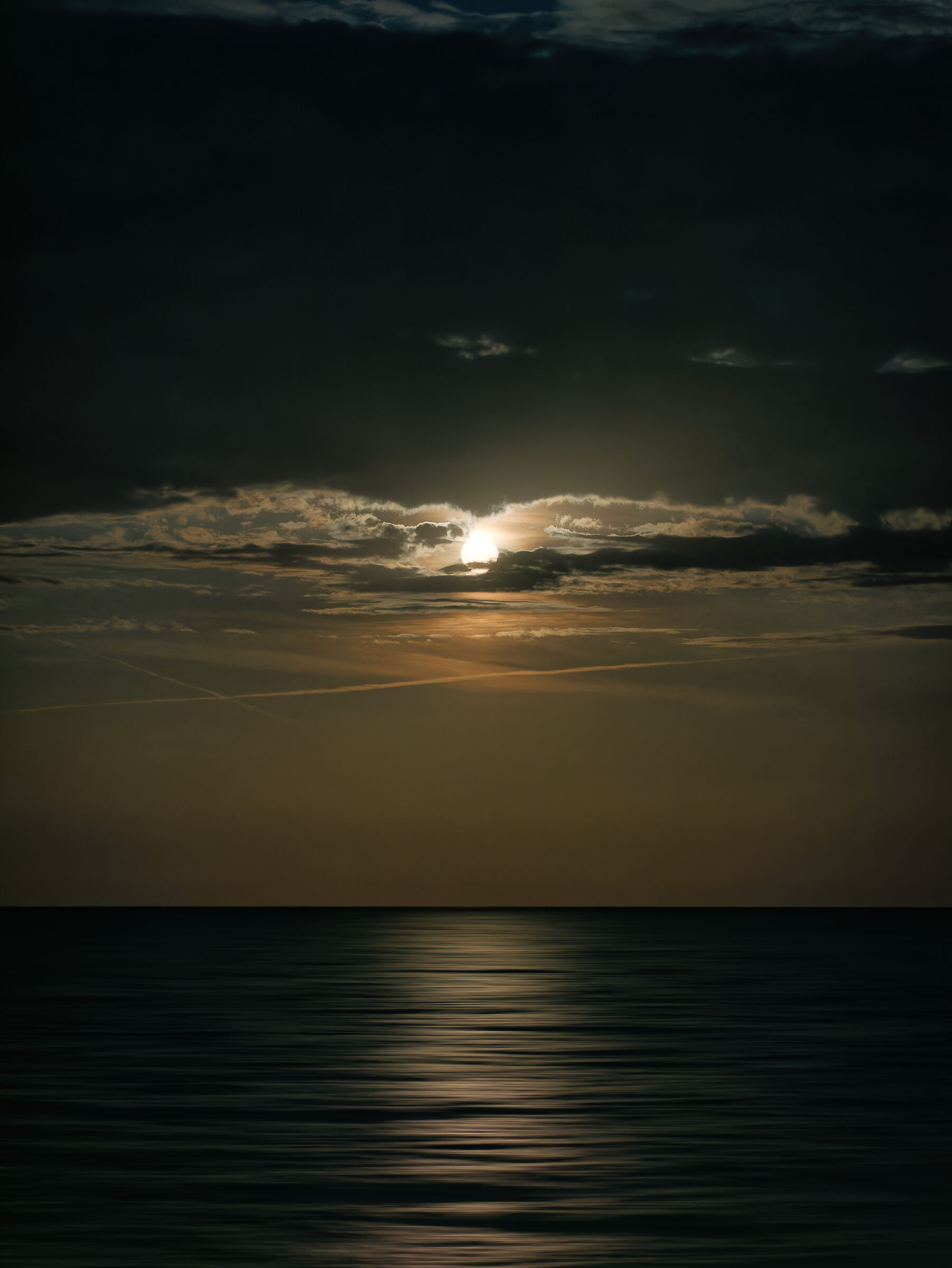 Untitled Photo