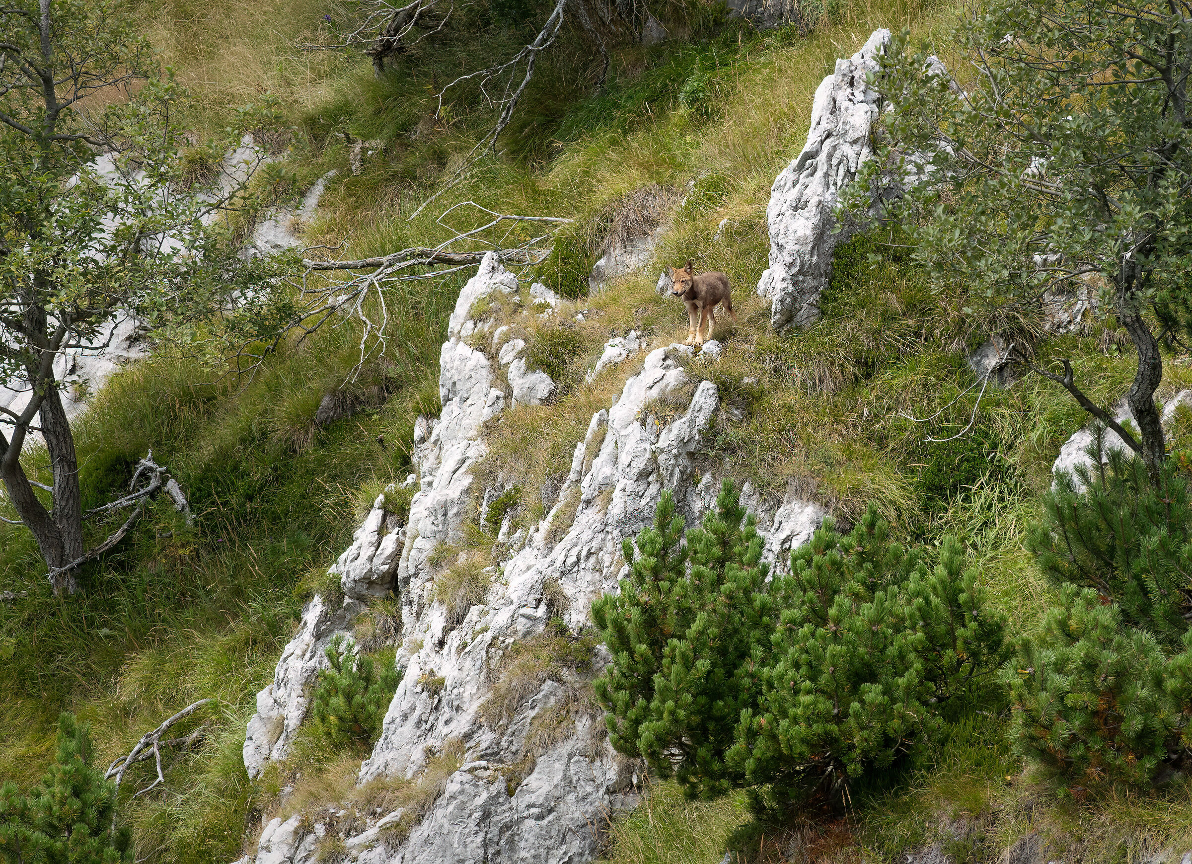 Un giorno tutto questo sara' mio