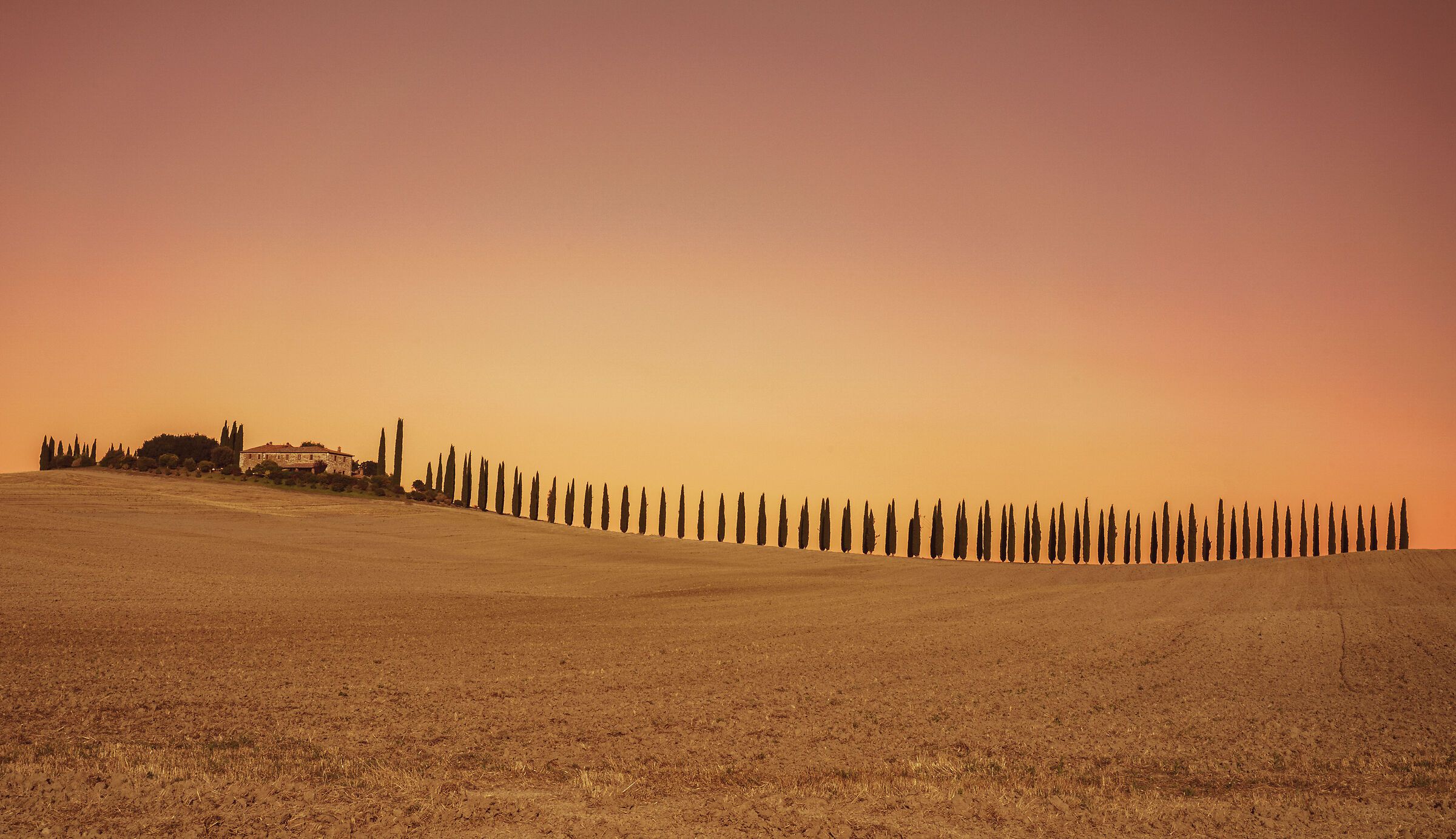 Silhouettes at sunset