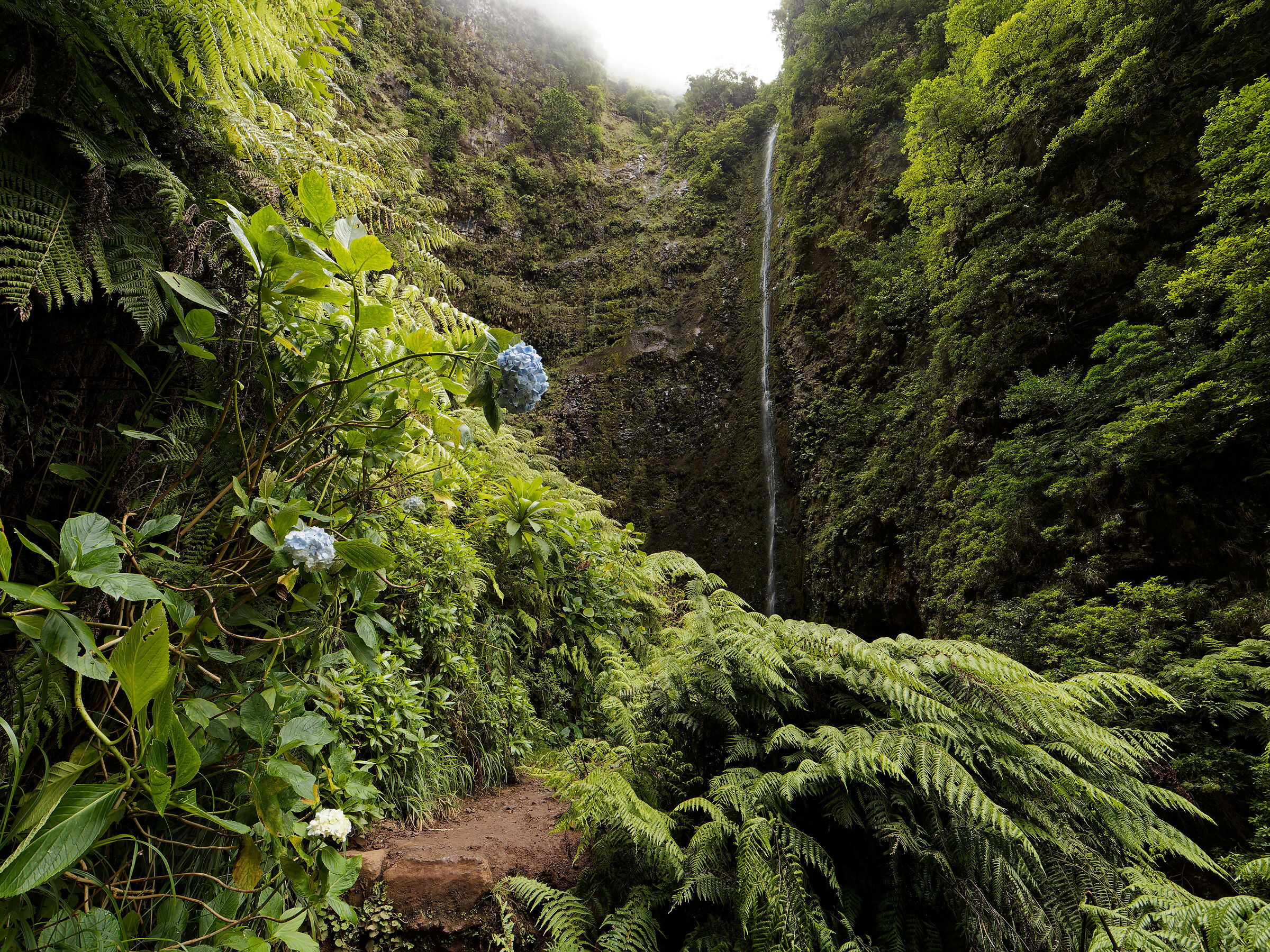 Levada del Caldeirão Verde