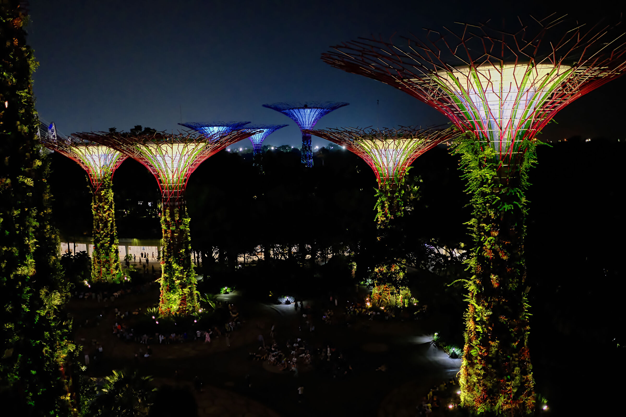 Alberi della vita - Singapore