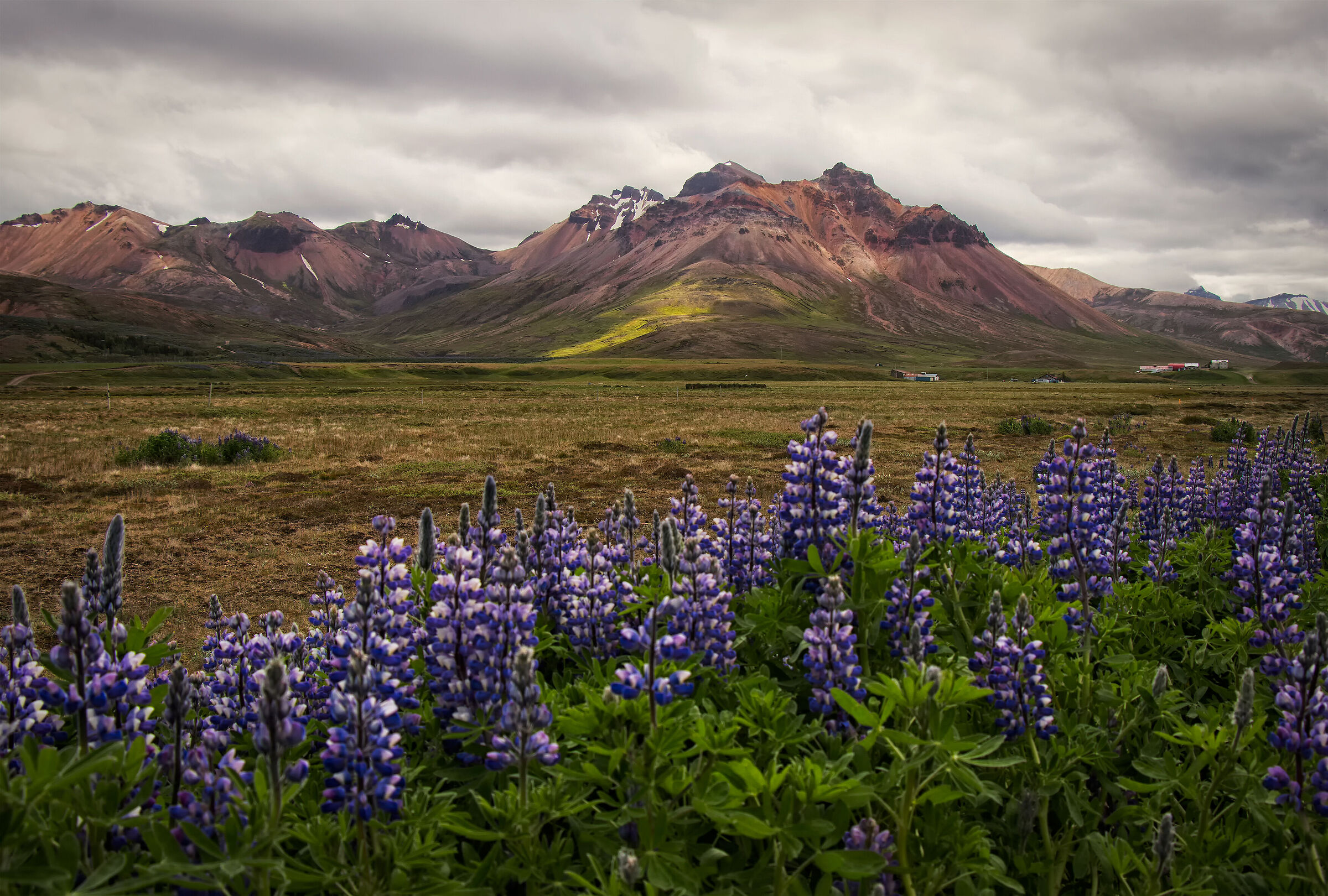 Borgarfjörður eystri