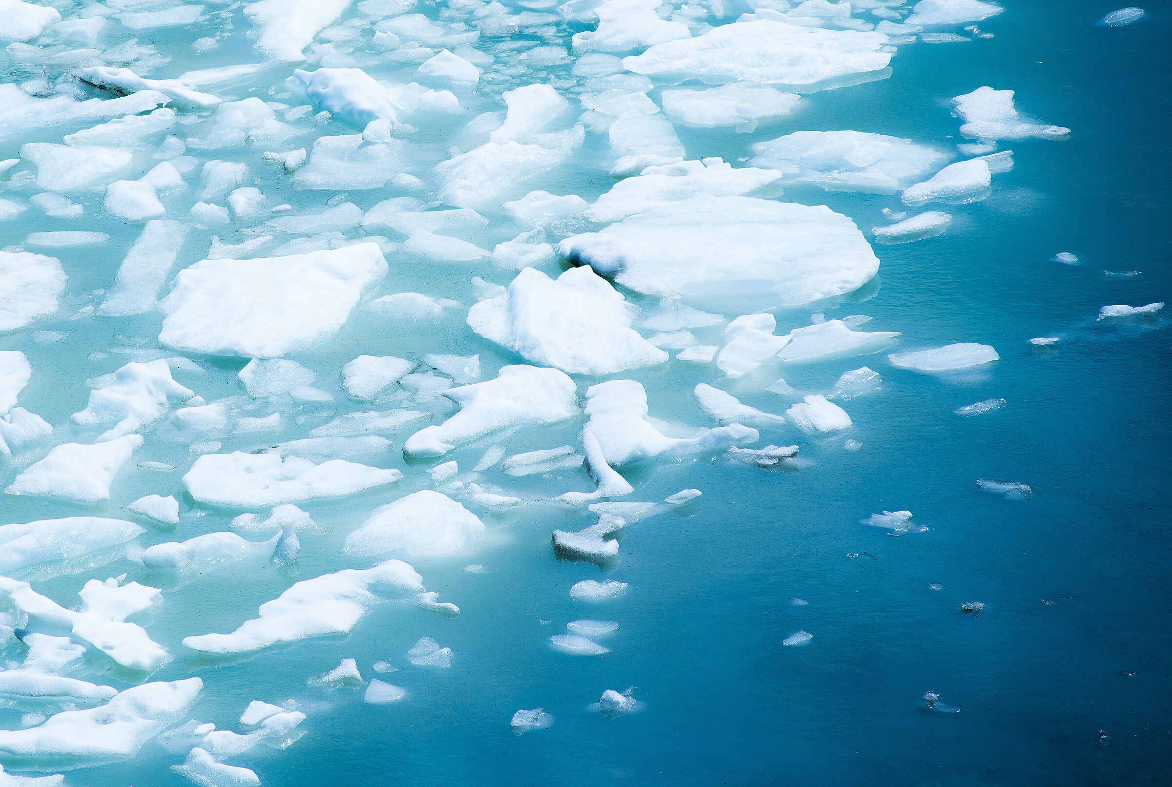 Valtellina Icebergs