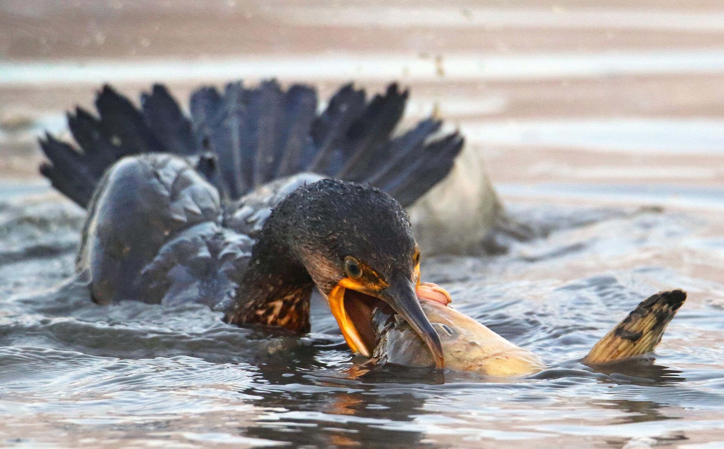 Missione impossibile