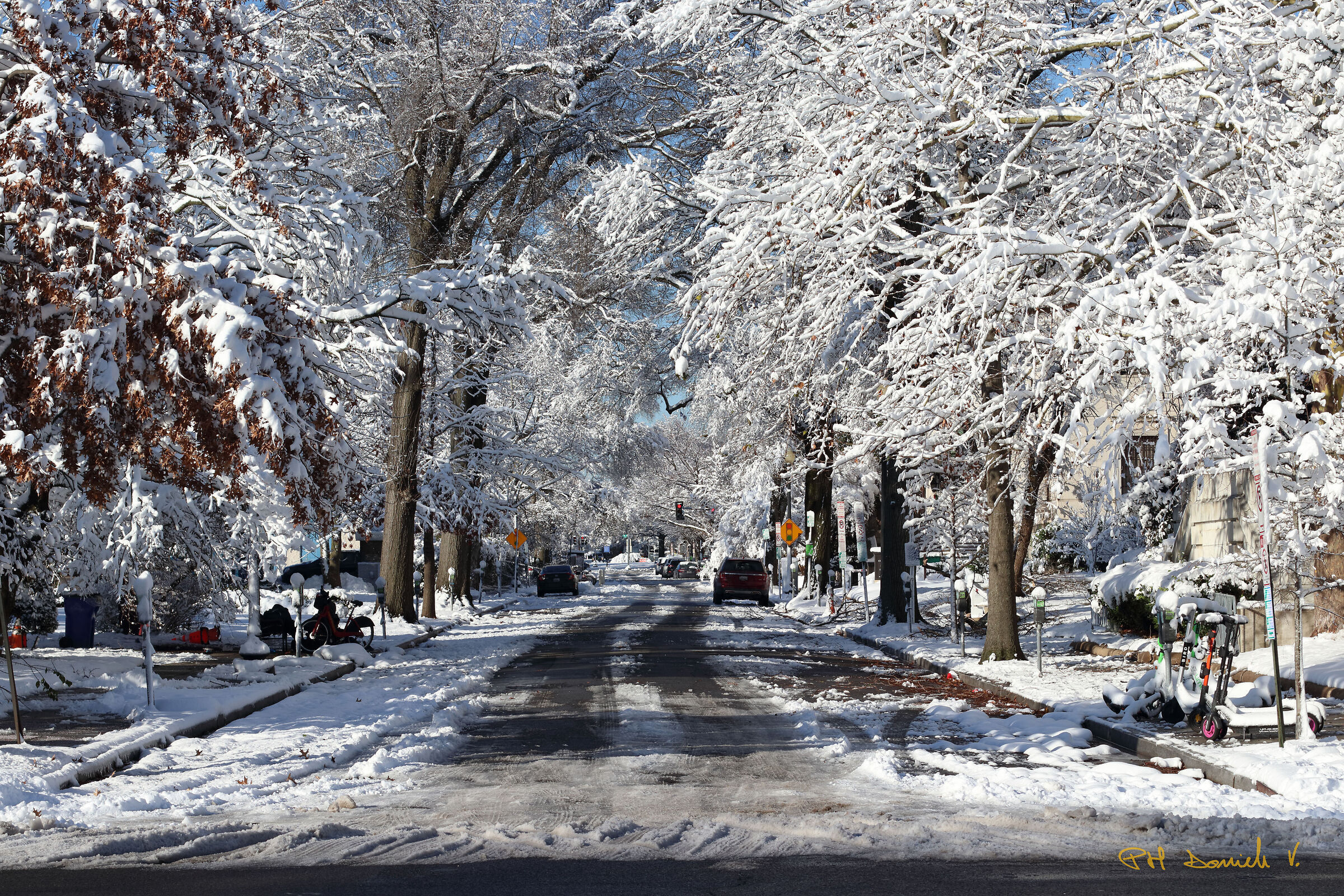 Winter Color