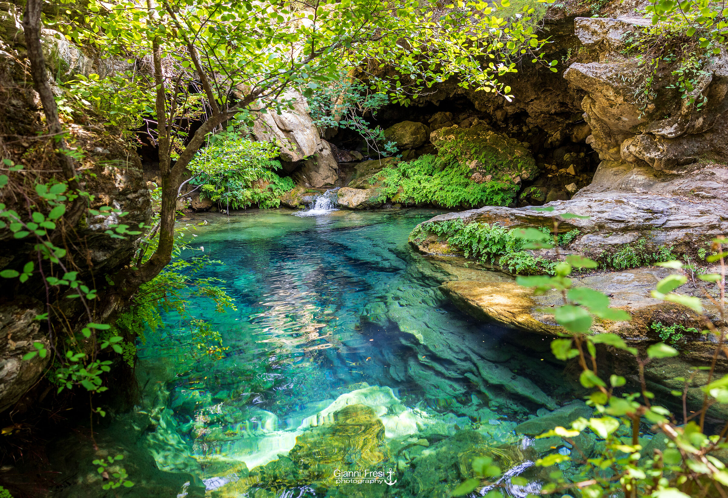 Niala Spring
