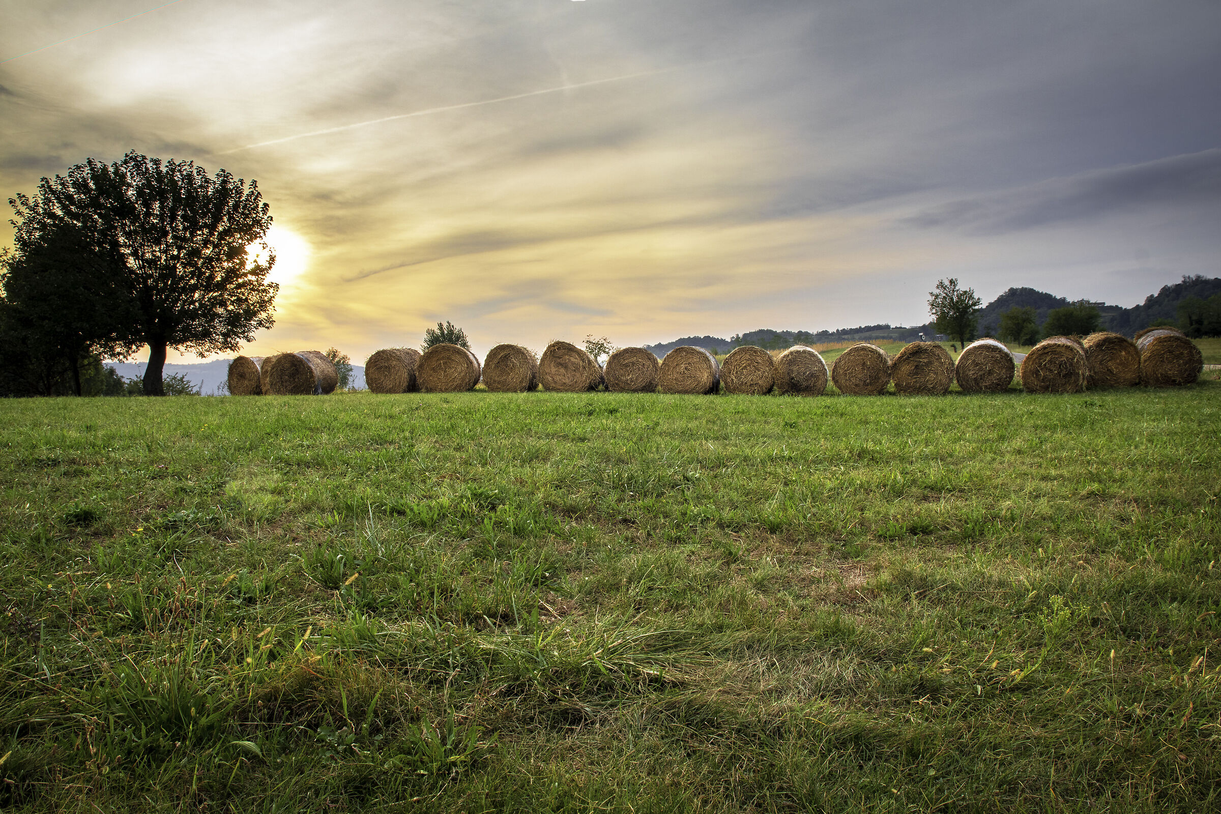 Paesaggio in collina