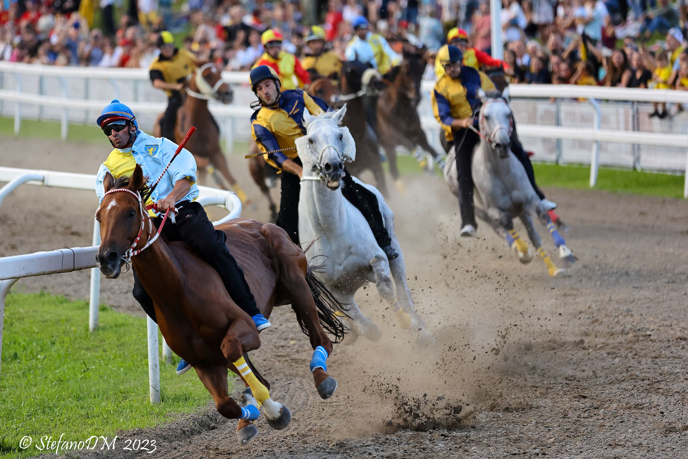 Palio di Feltre 2023