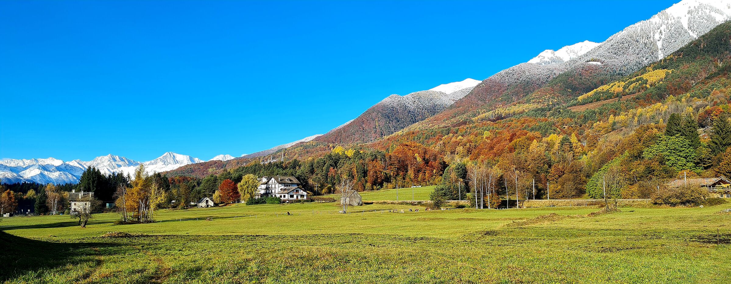 Autumn