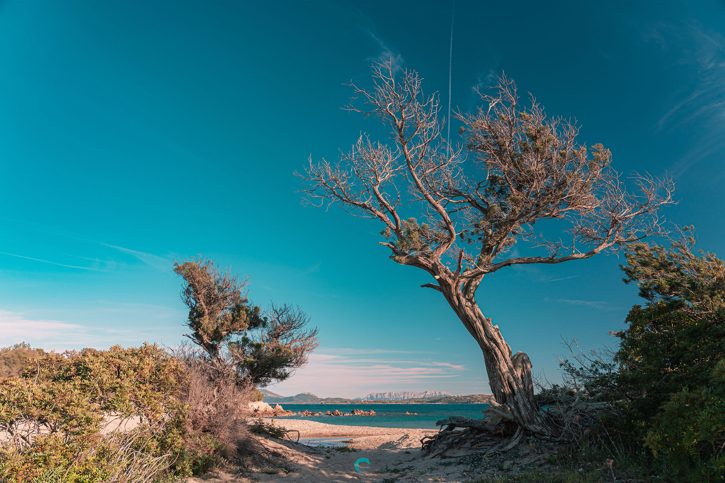 The silent guardian of history and culture