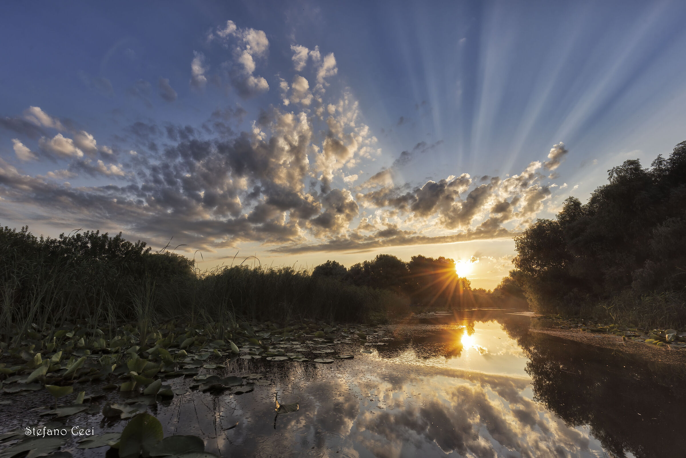Sunrise on the Danube Delta