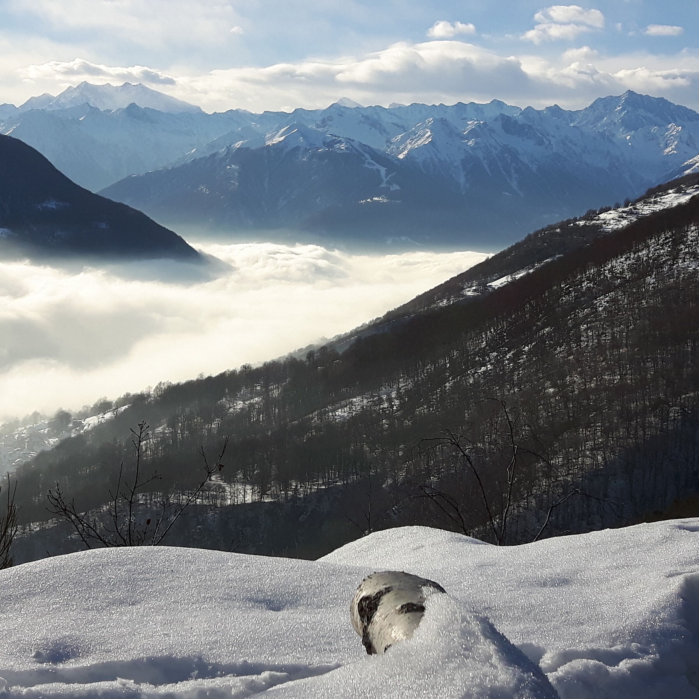 Clouds