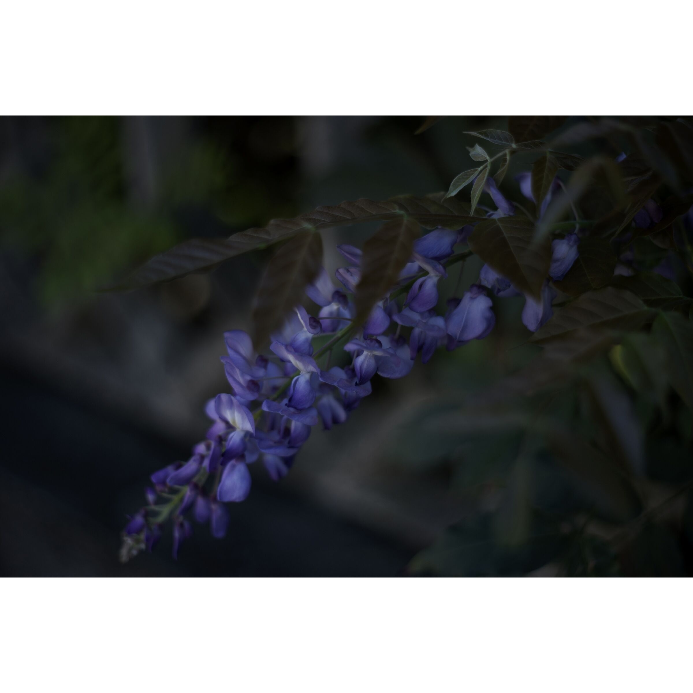 Untitled Photo