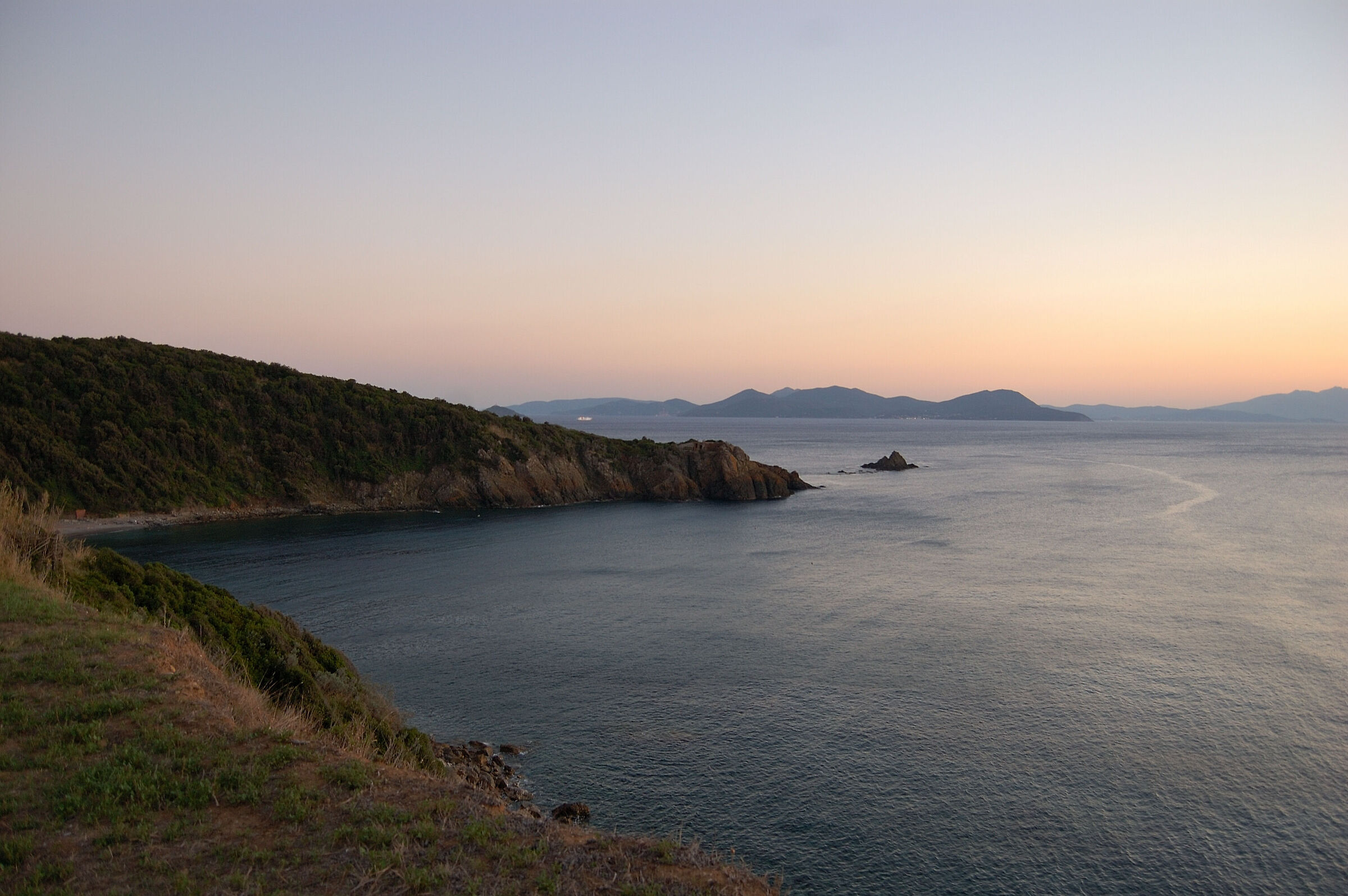 Calamoresca, Piombino