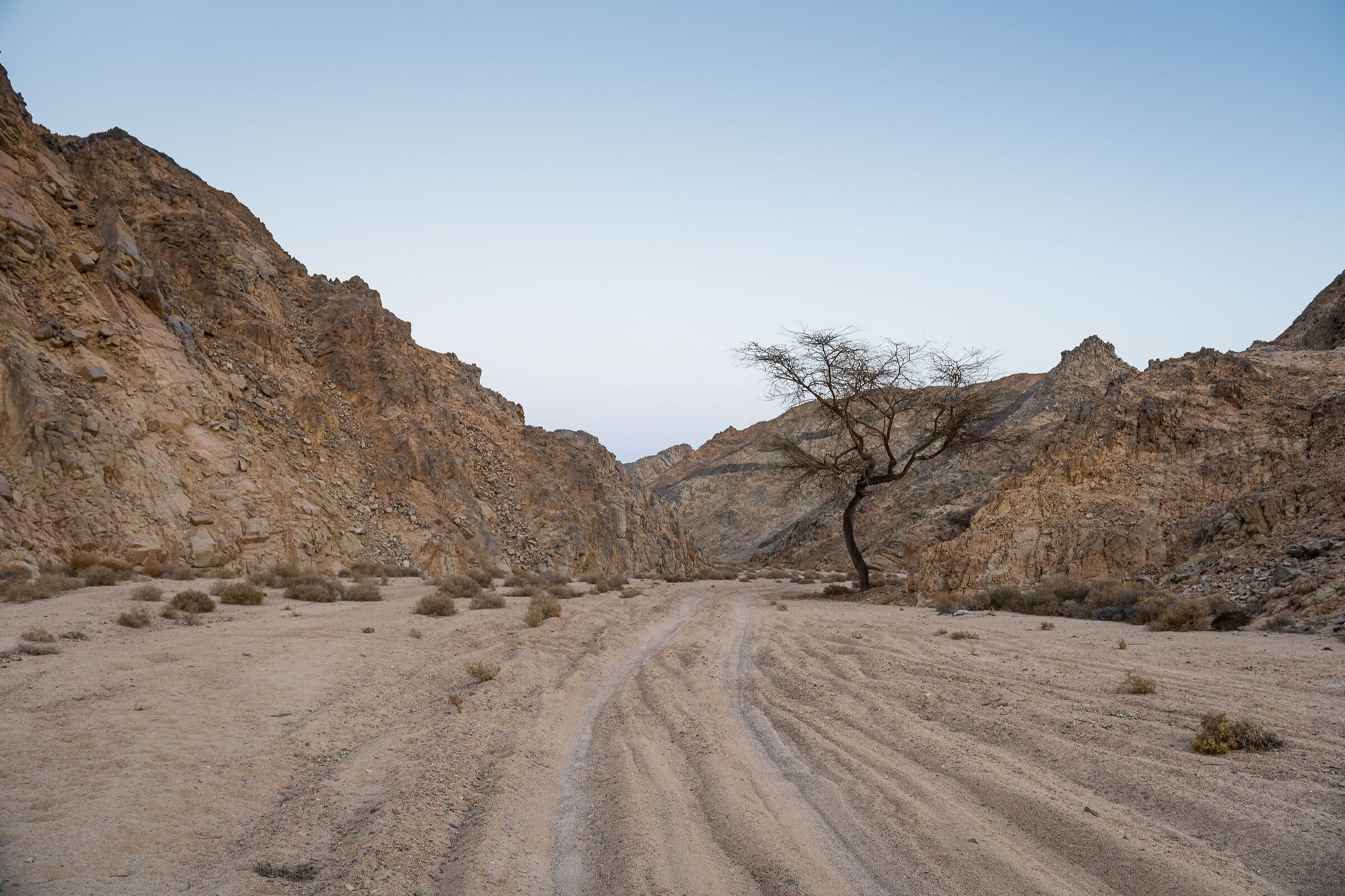 Sabbia e Roccia (Sahara Orientale)