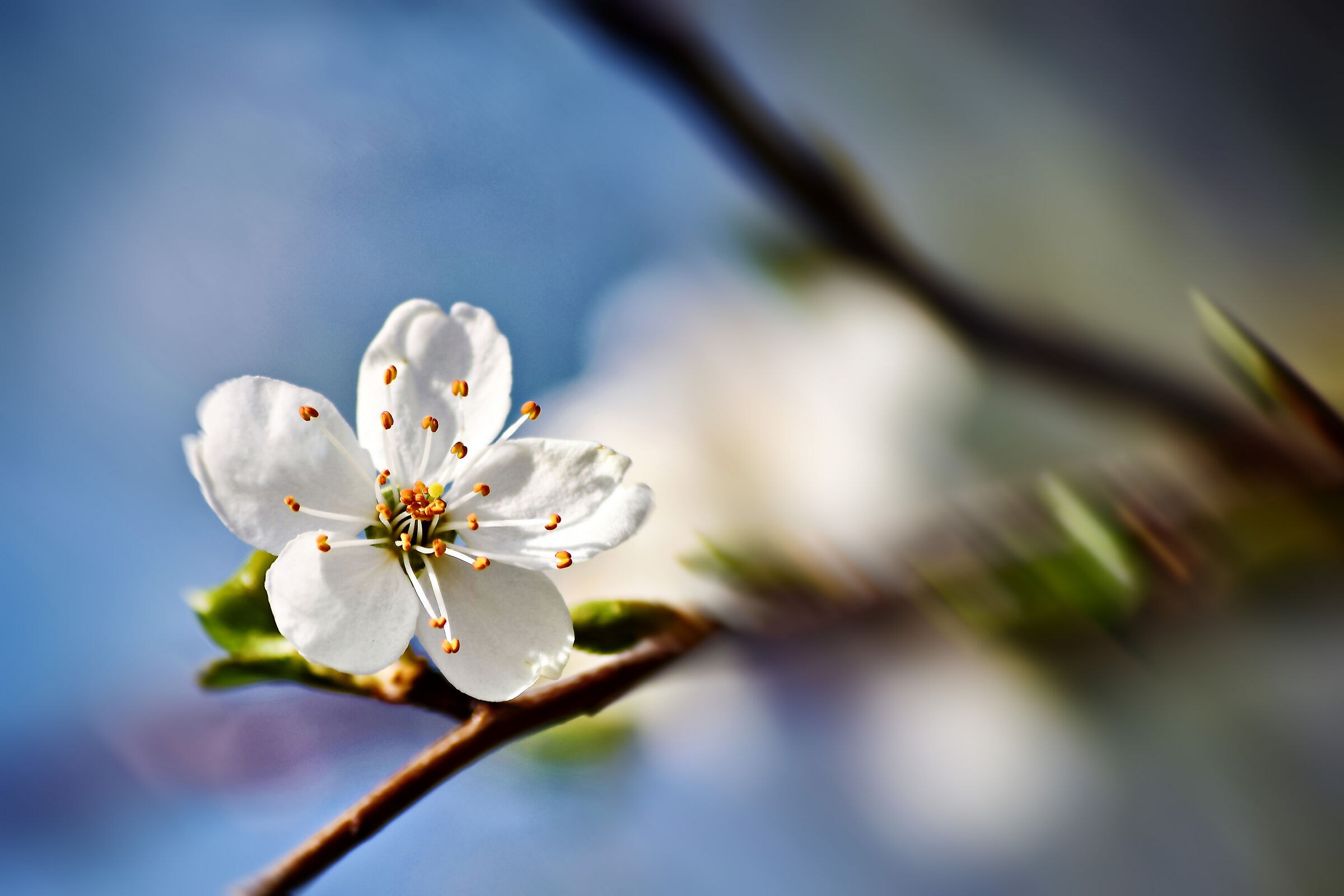 Untitled Photo