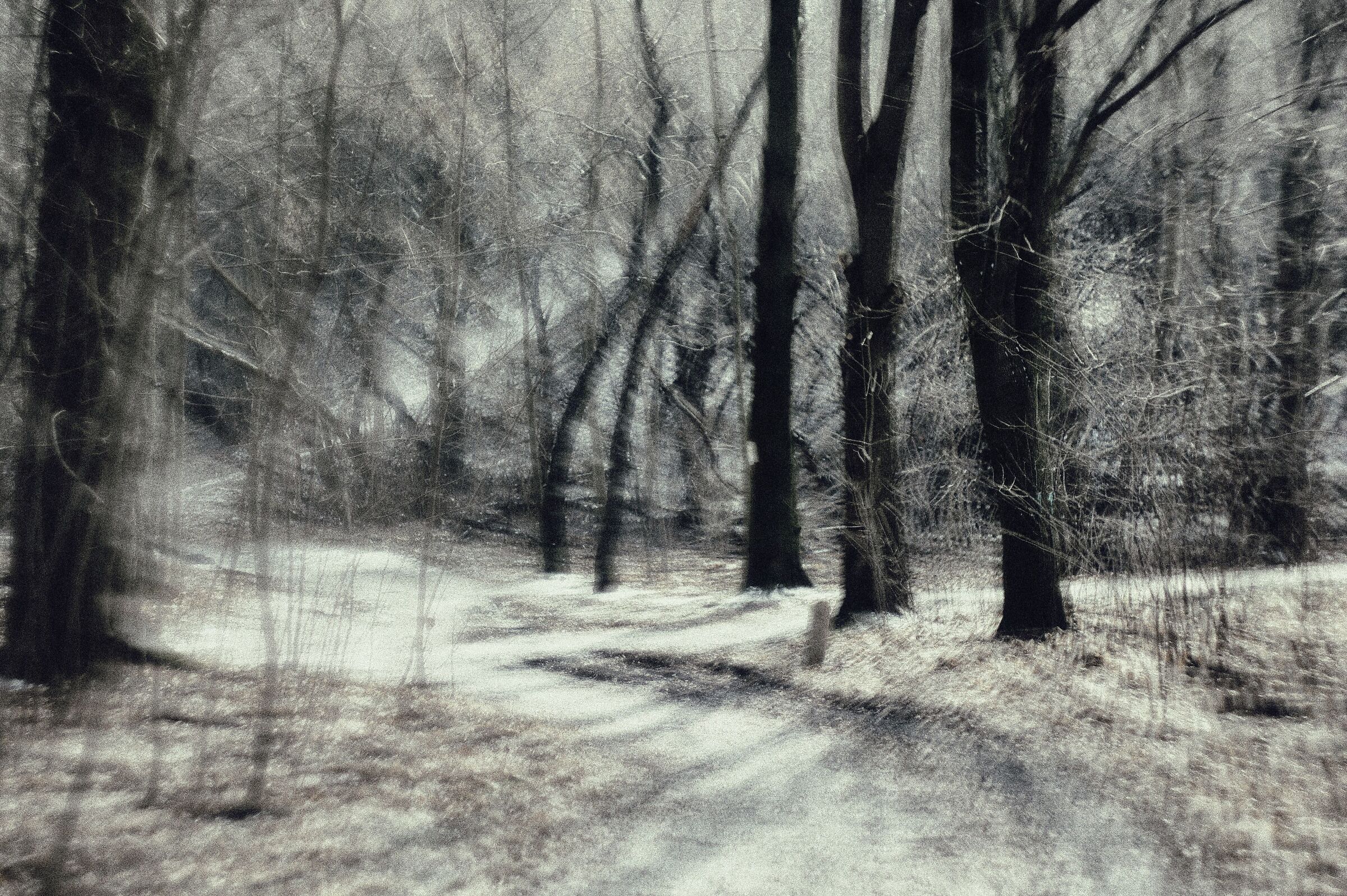 Untitled Photo