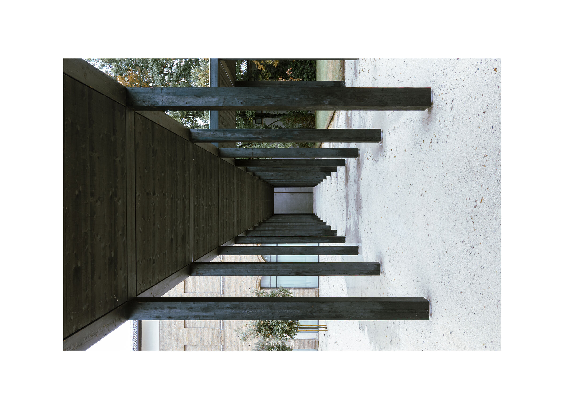 Ferrara Palazzo dei Diamanti