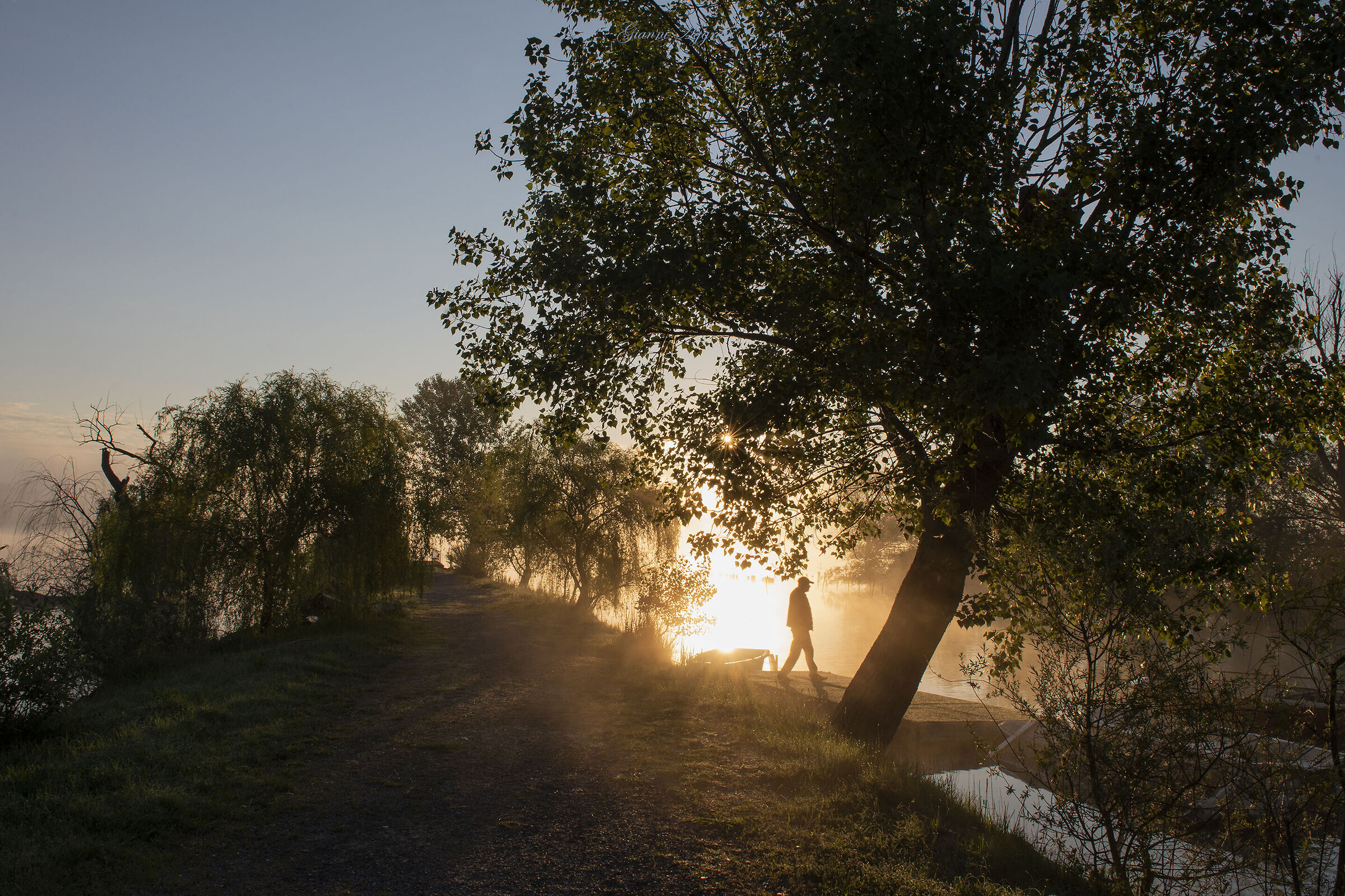 Alba al Lago di Chiusi