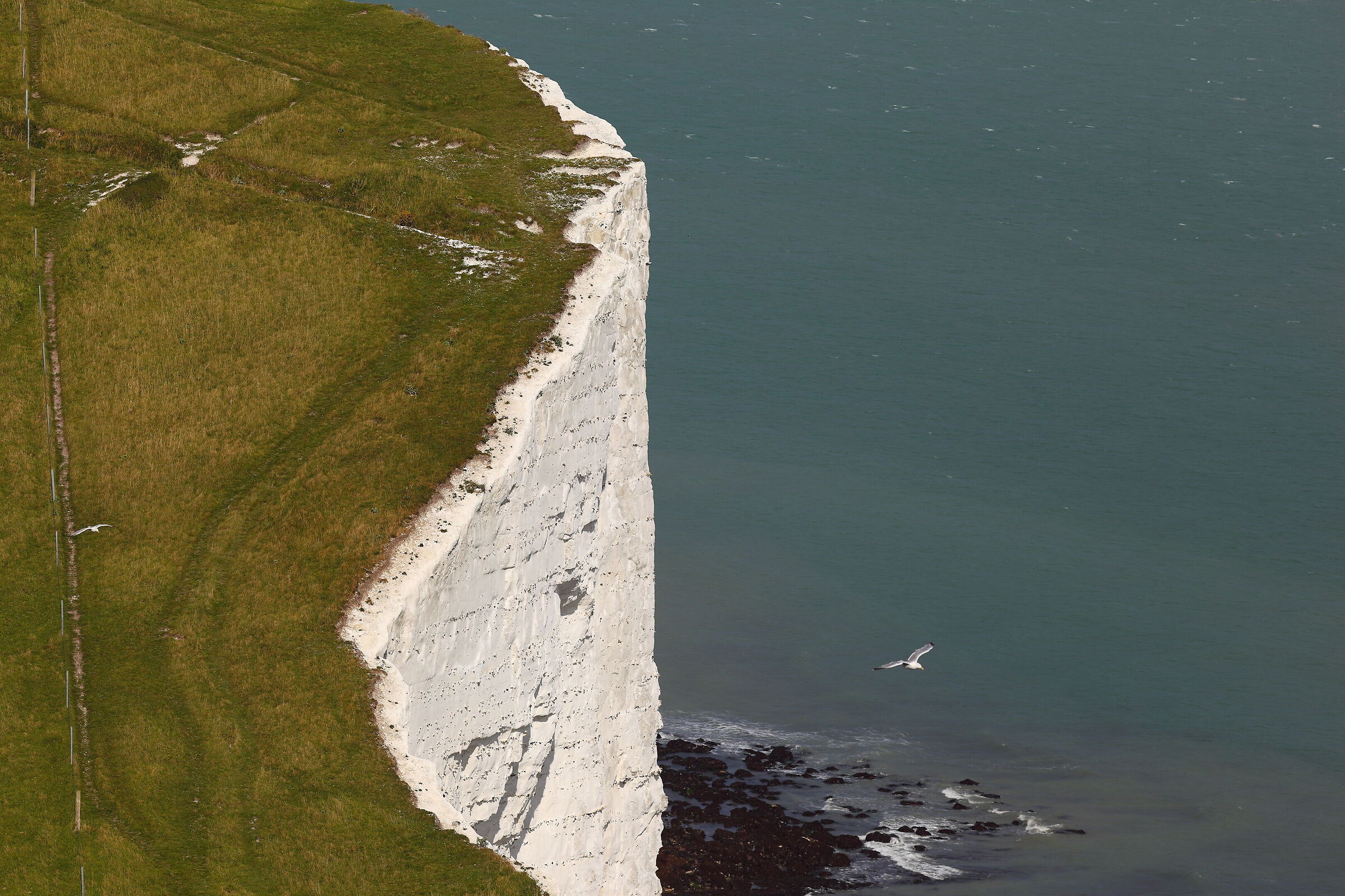 Cliffs of Dover