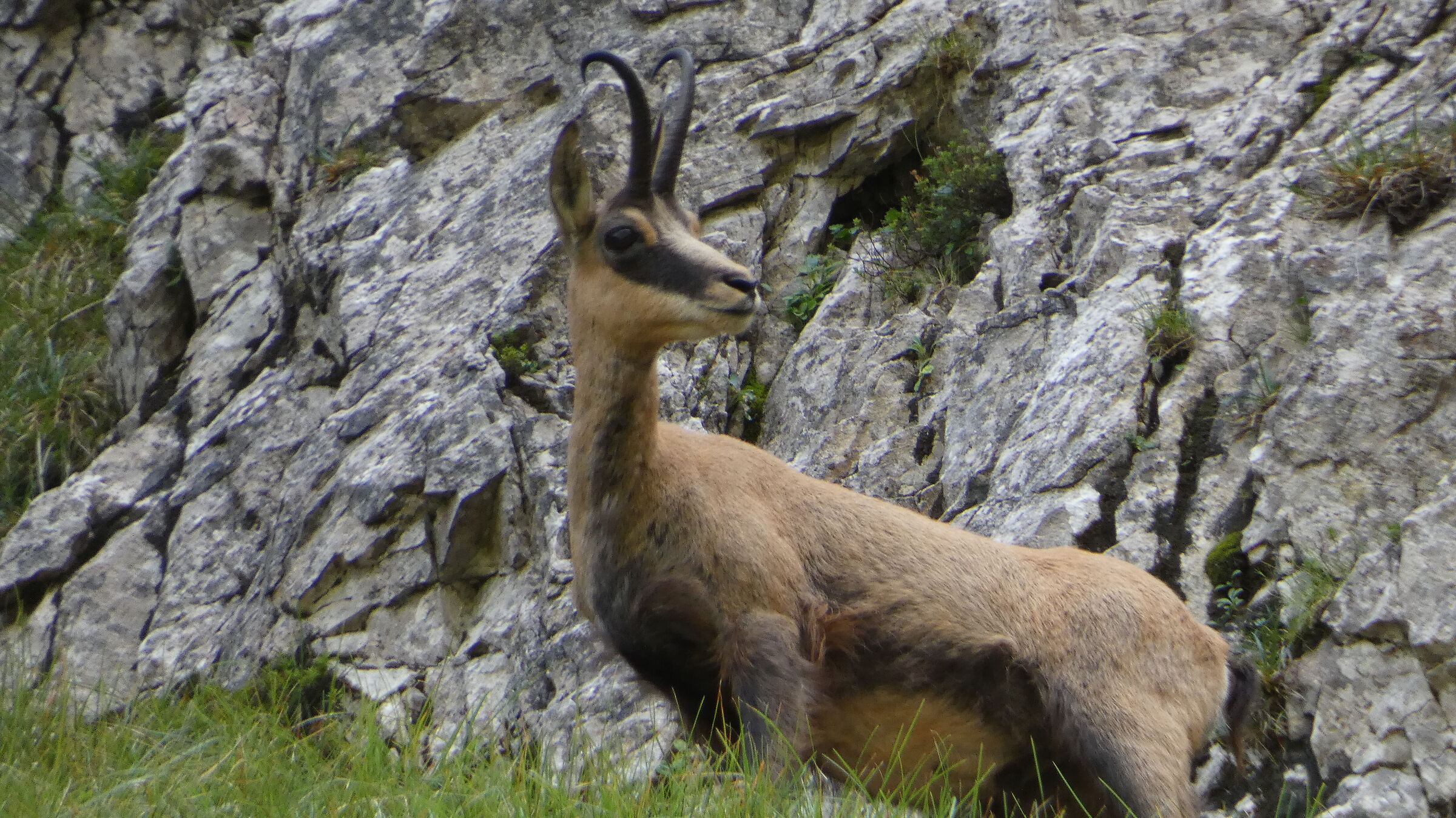 suede in Val Gerona Bergamo 3