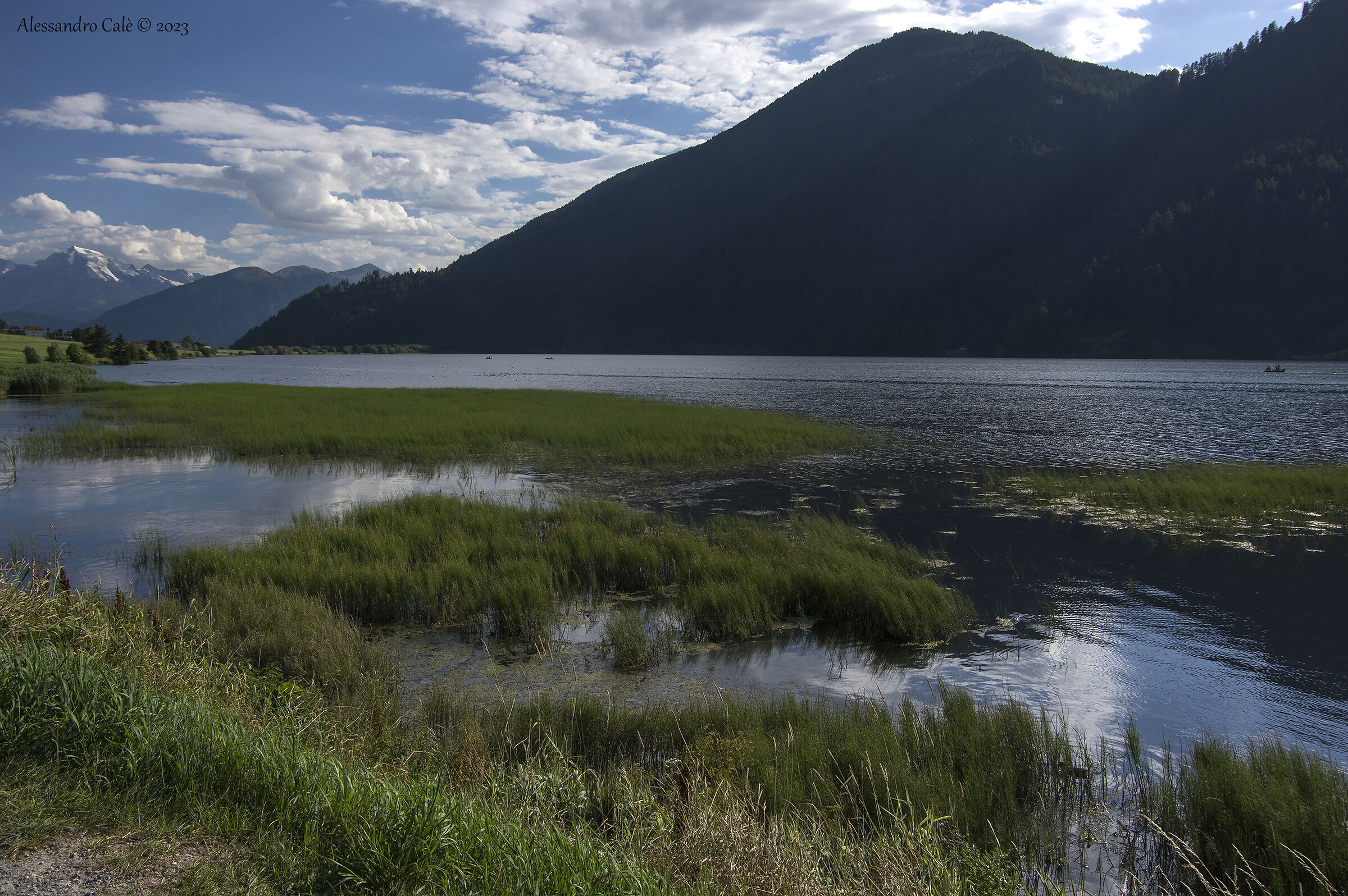 Lago della Muta 8895