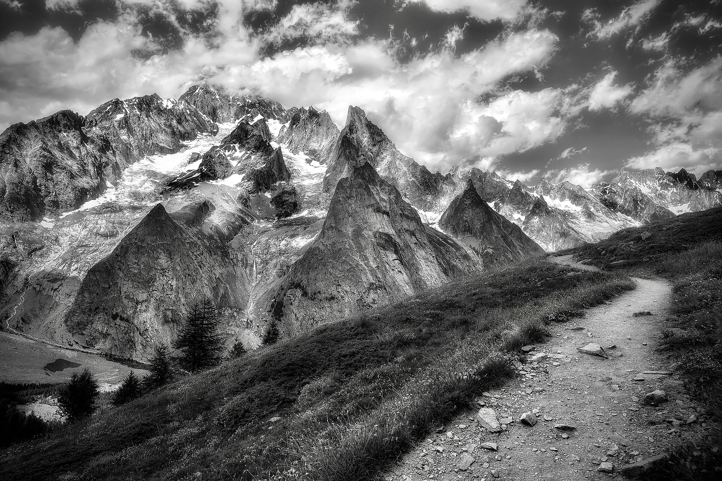 The White ... and black ...