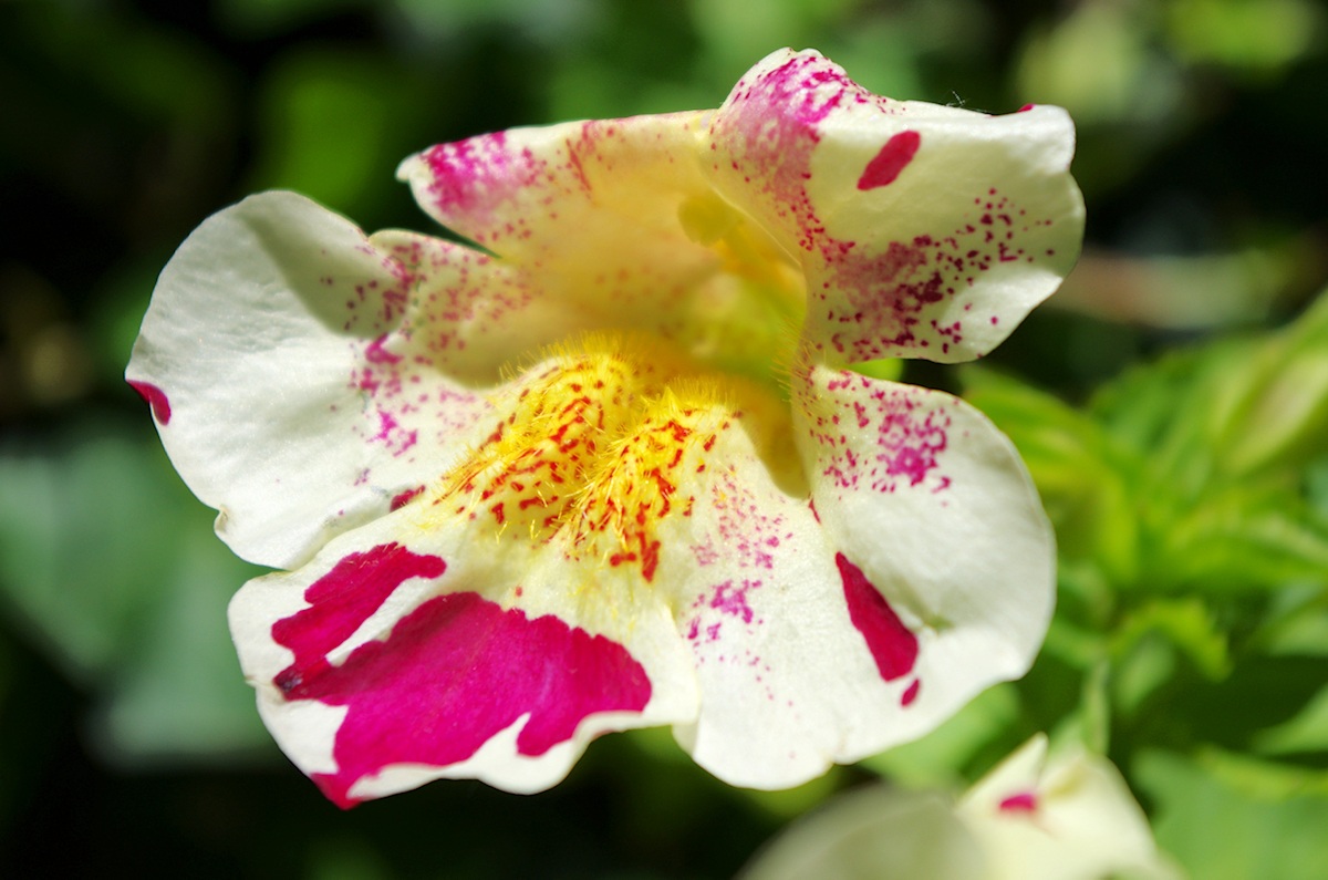 Quando la luce.........