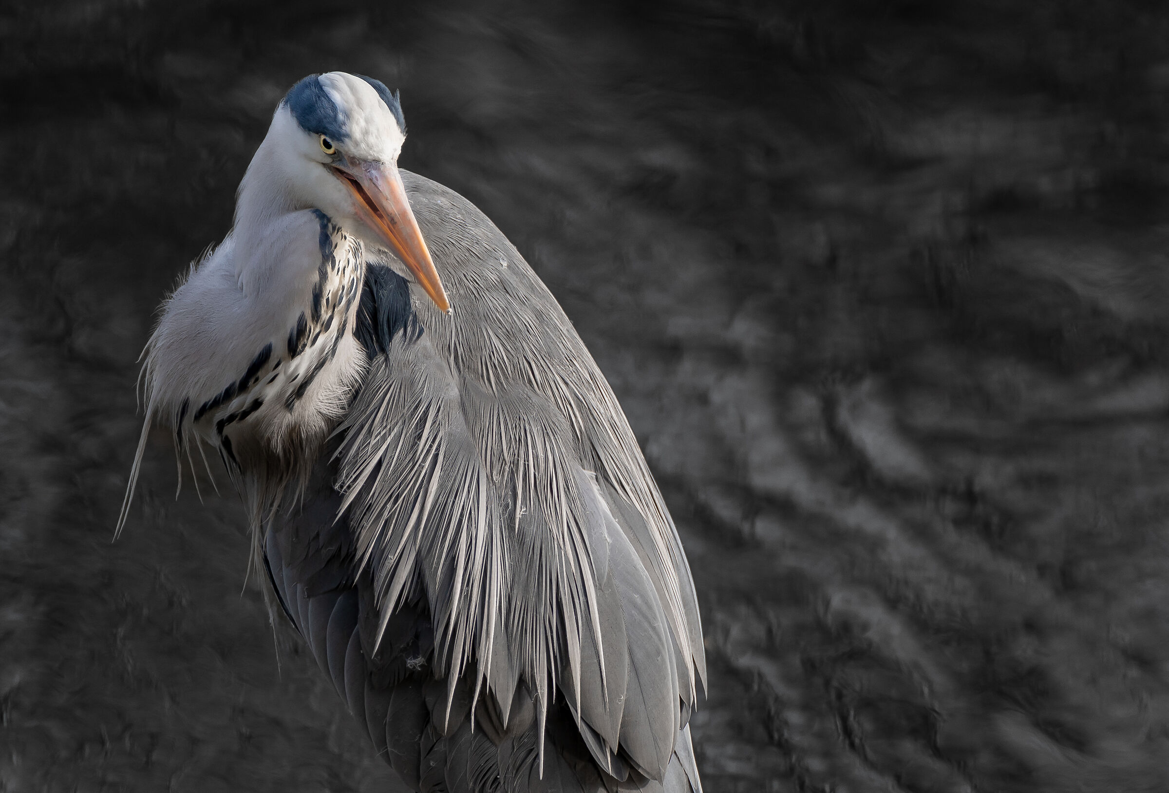 Di pessimo umore....