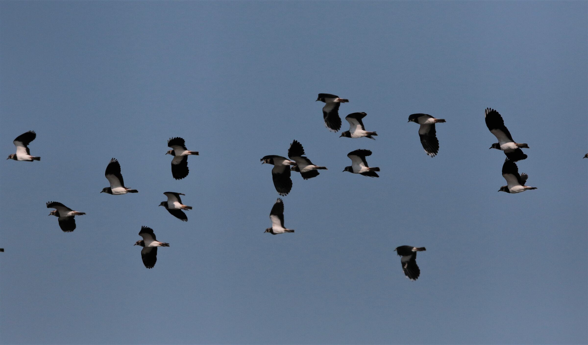 holidays over, the return