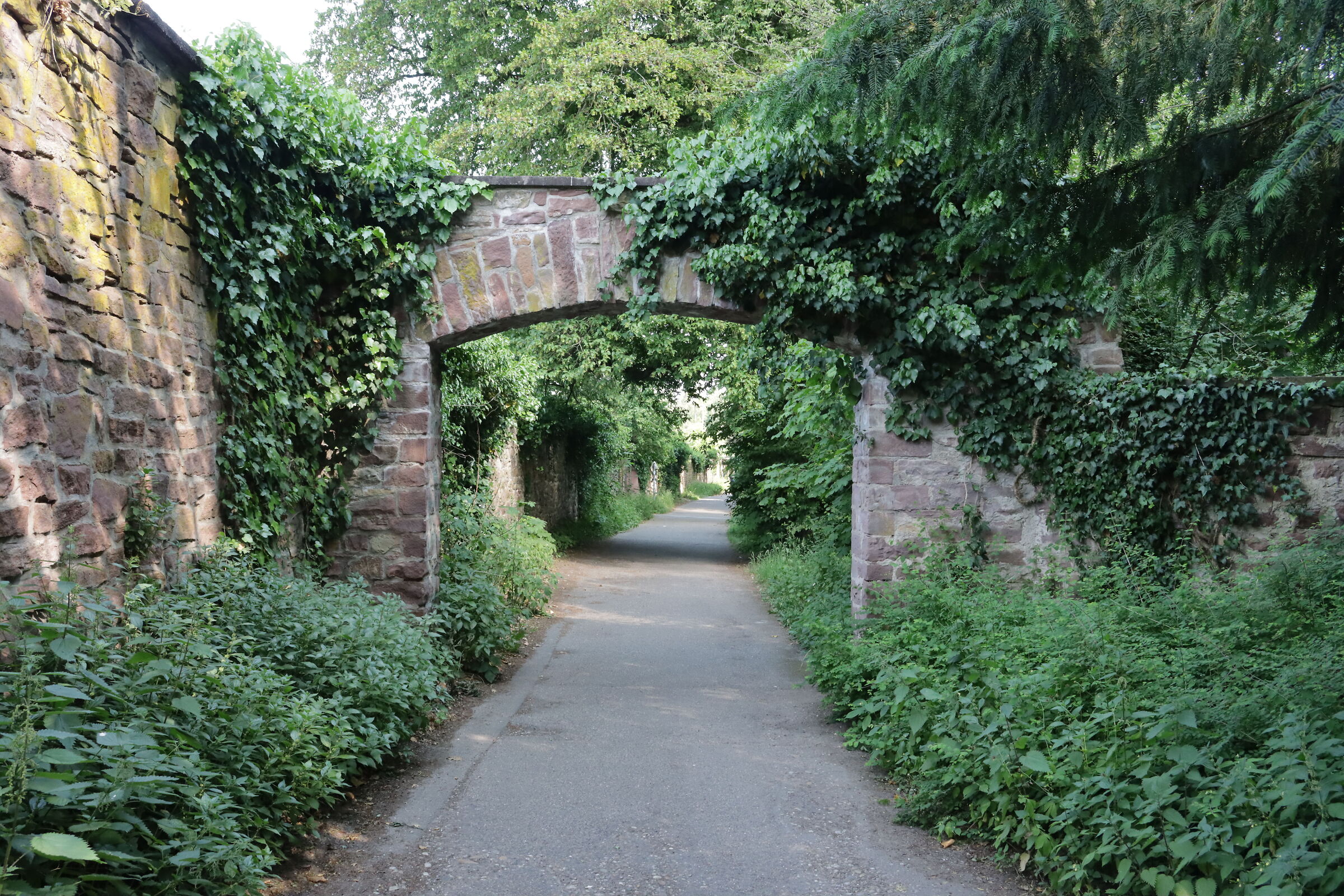 Strada del Parco