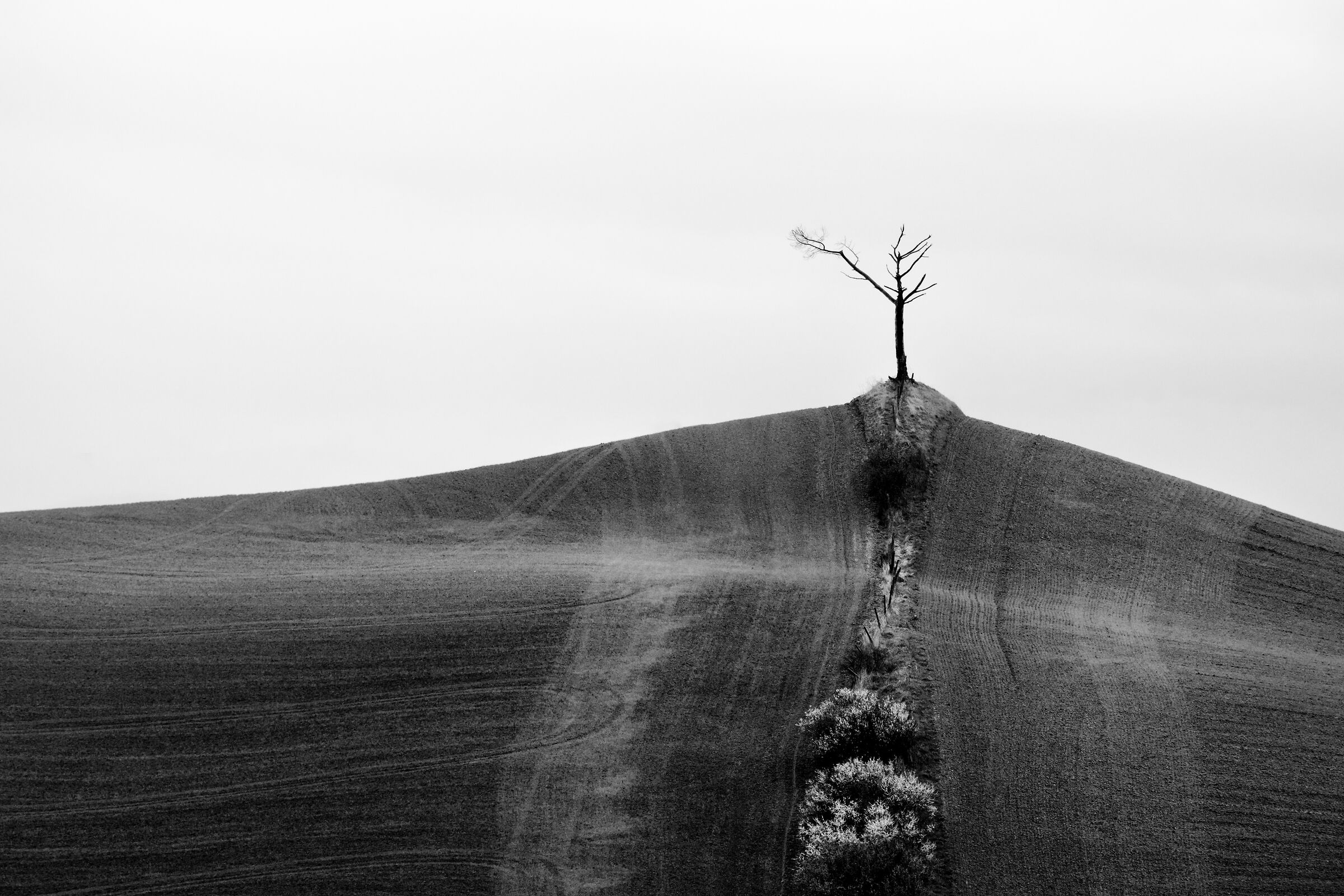 Untitled Photo