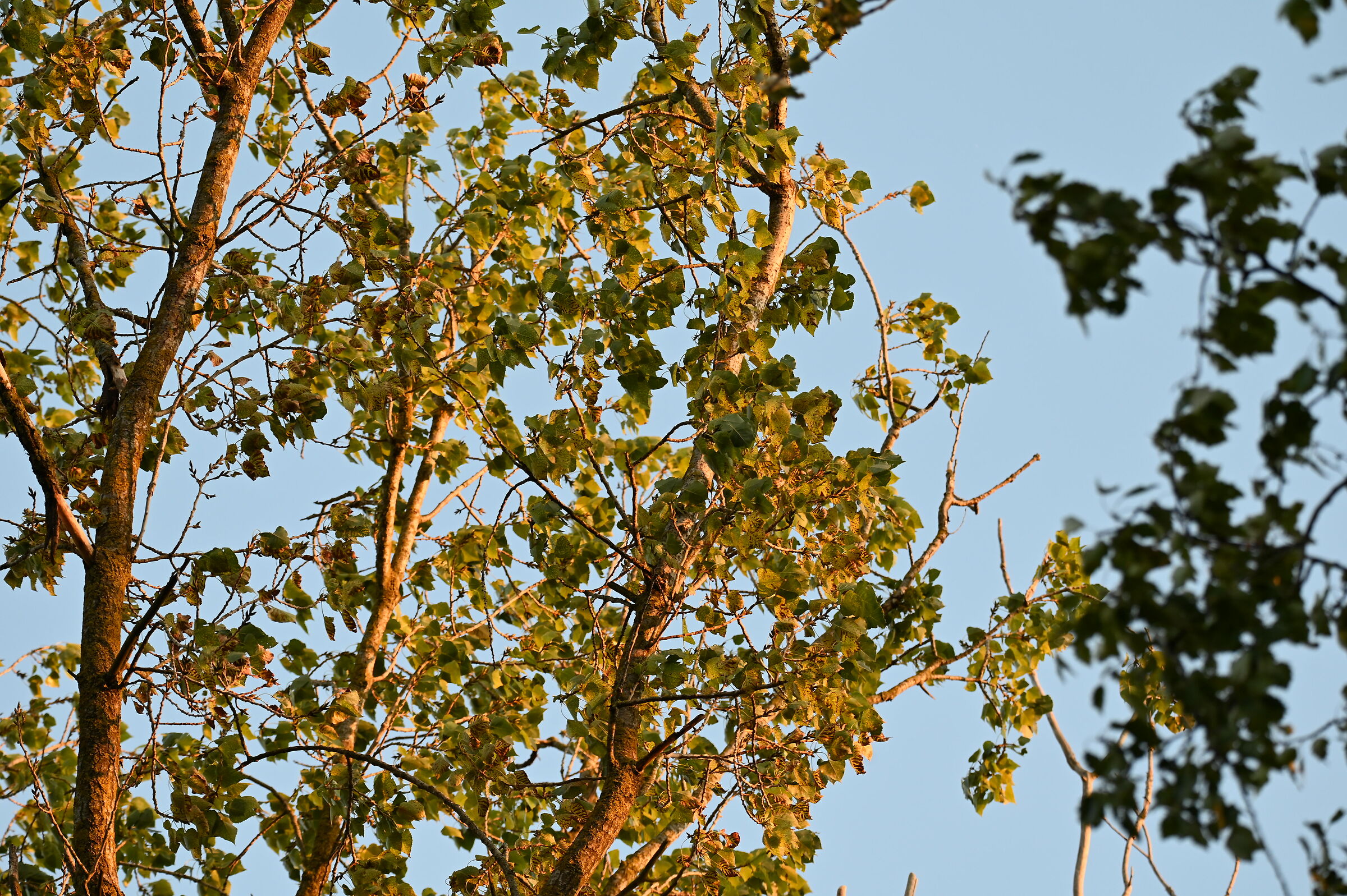 First shots with 180 600