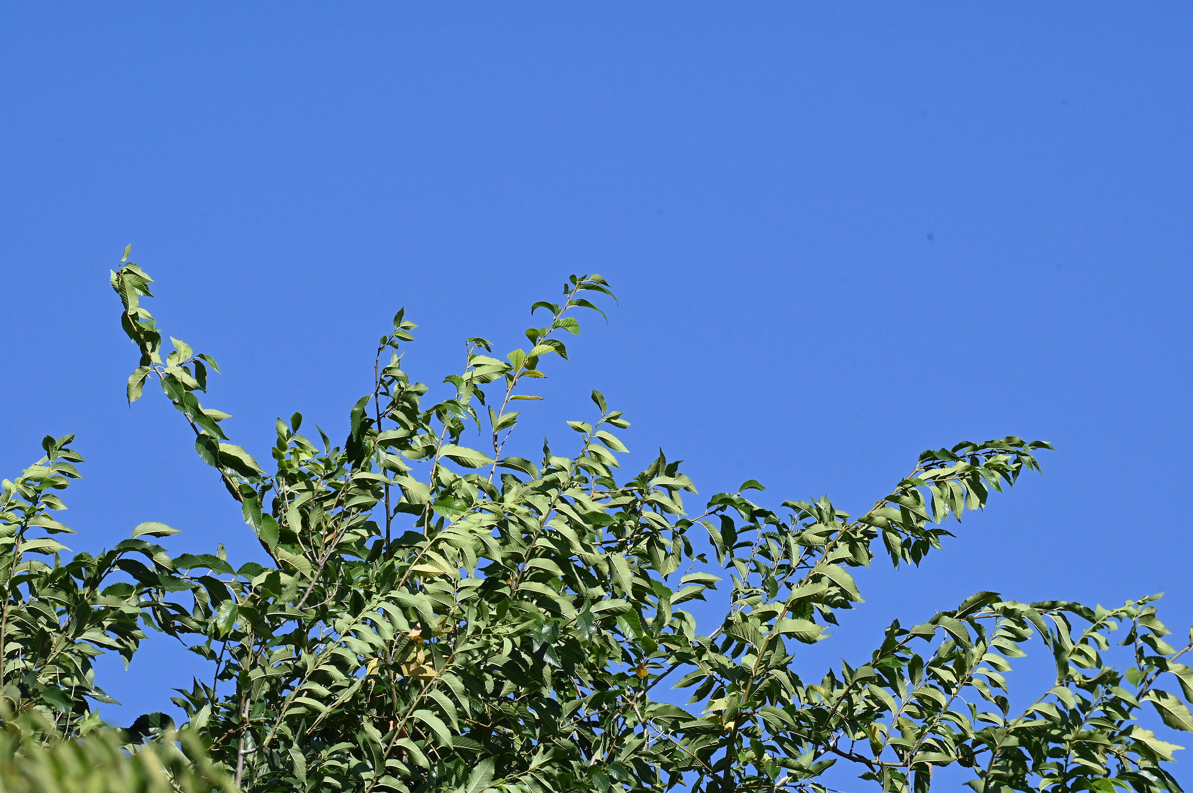 First shots with 180-600