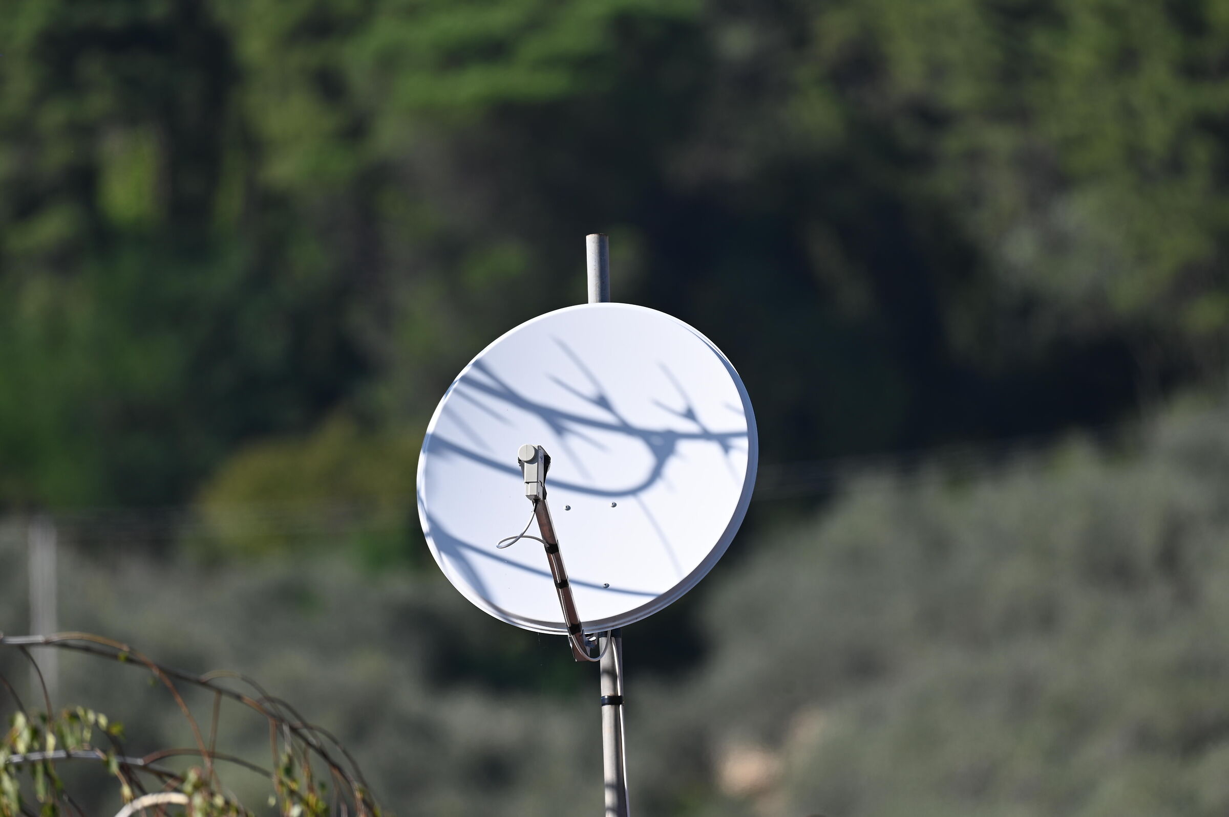 First shots with 180-600