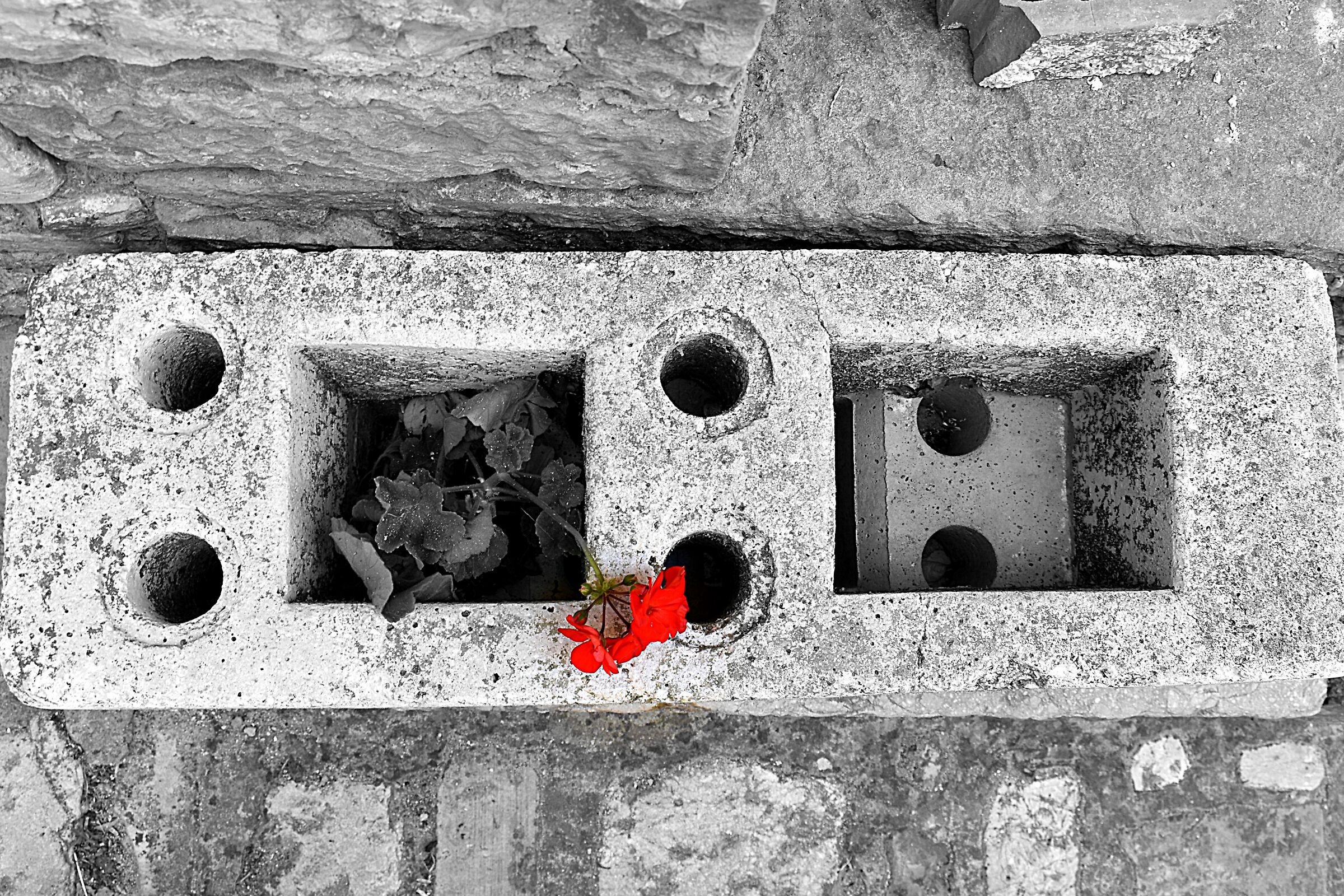 Put flowers in your bricks