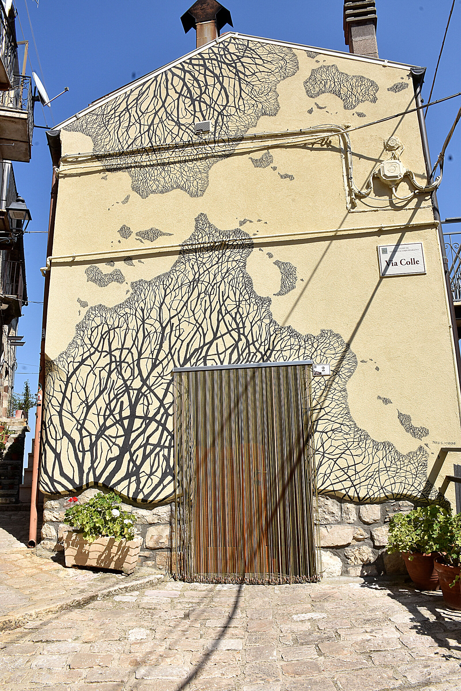 Embracing ramifications