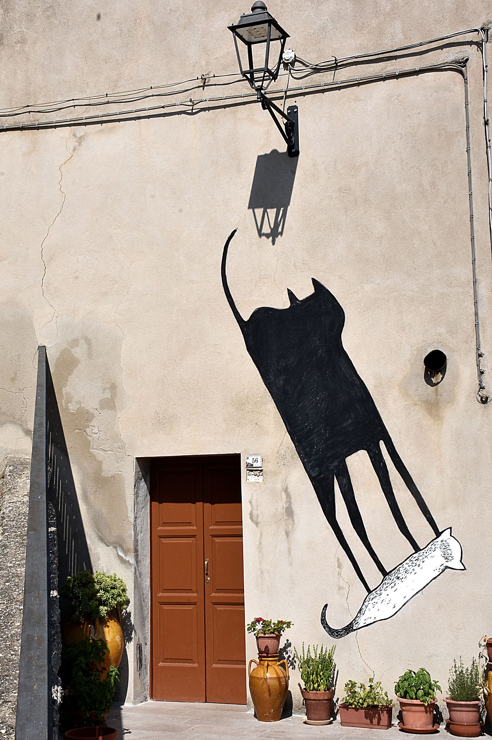 True shadow and fake shadow