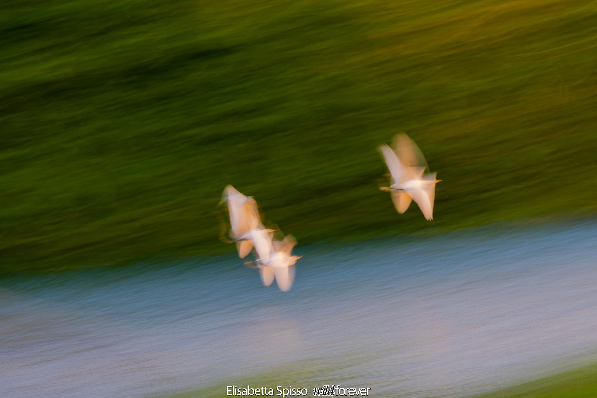 Panning