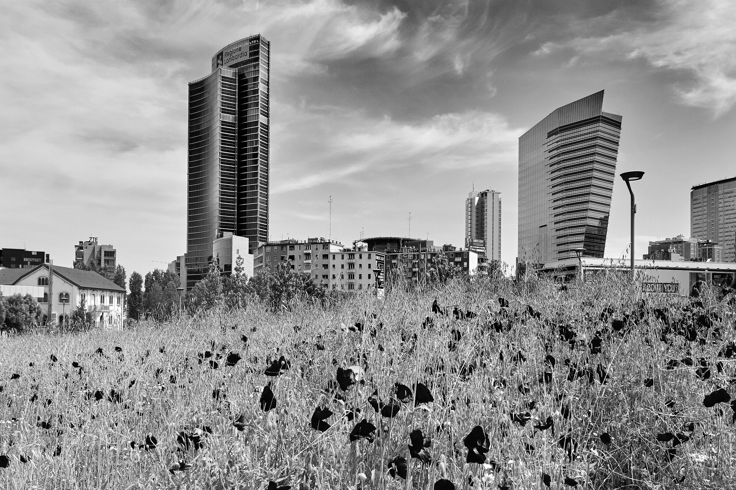 MILAN 9