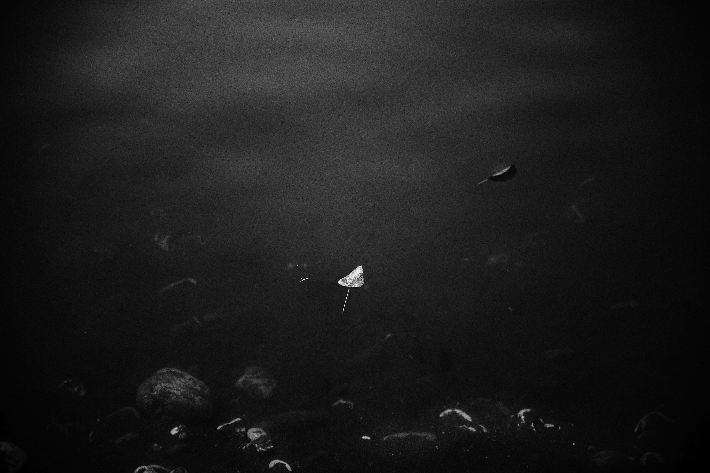 Untitled Photo