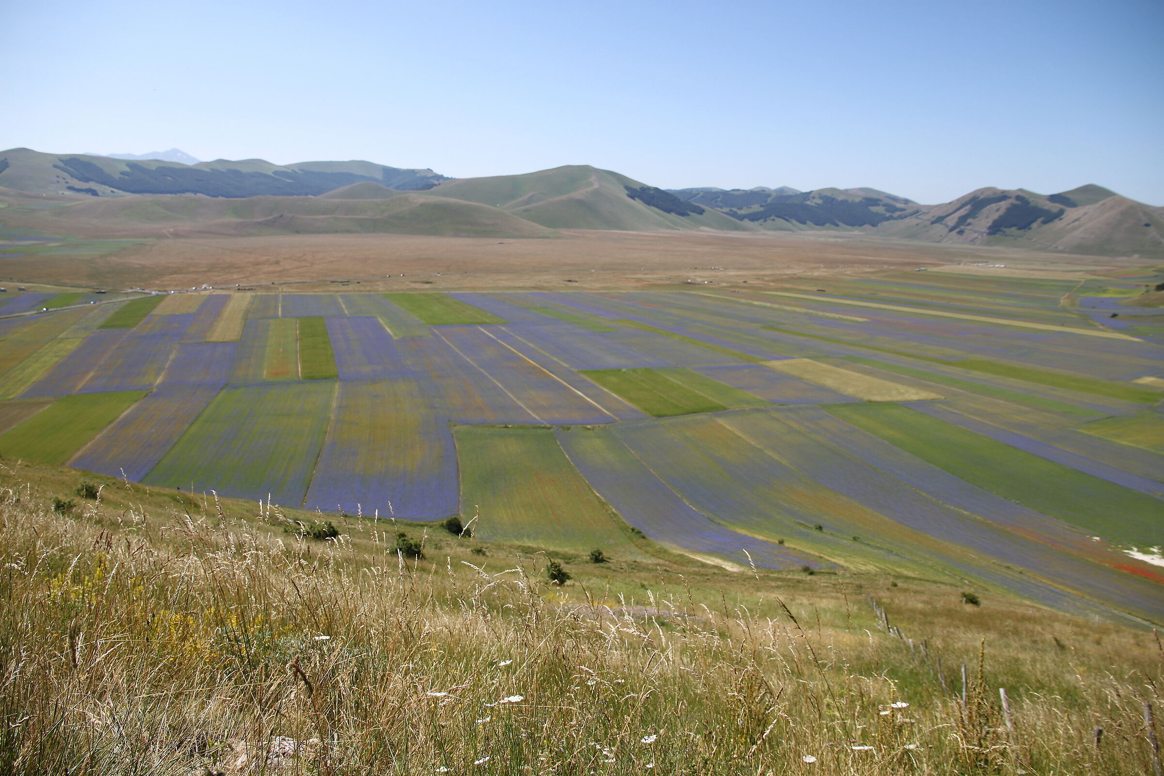 Castelluccio di Norcia