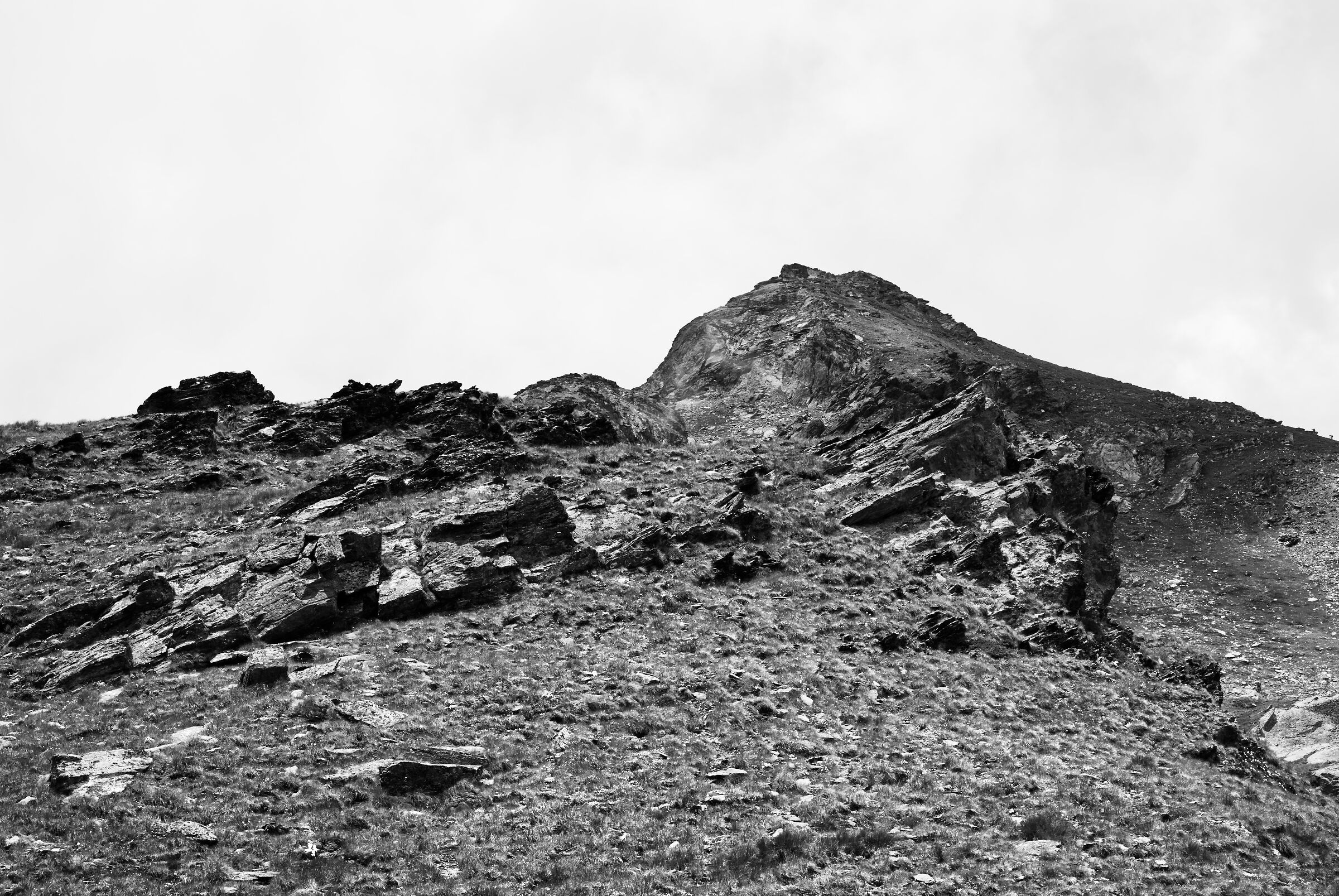 Alpi tipiche II