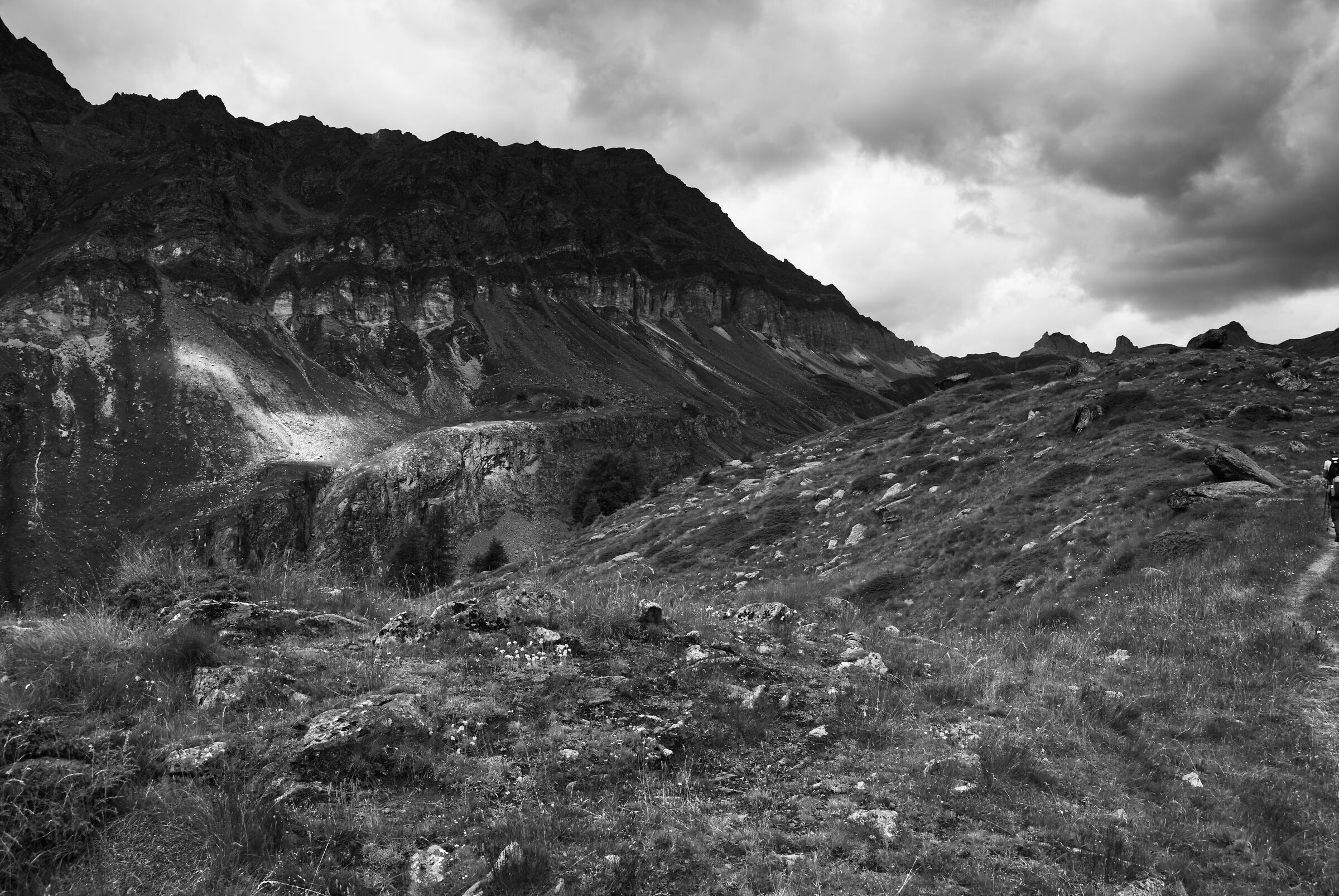 Verso il Vallone delle Cime Bianche VI