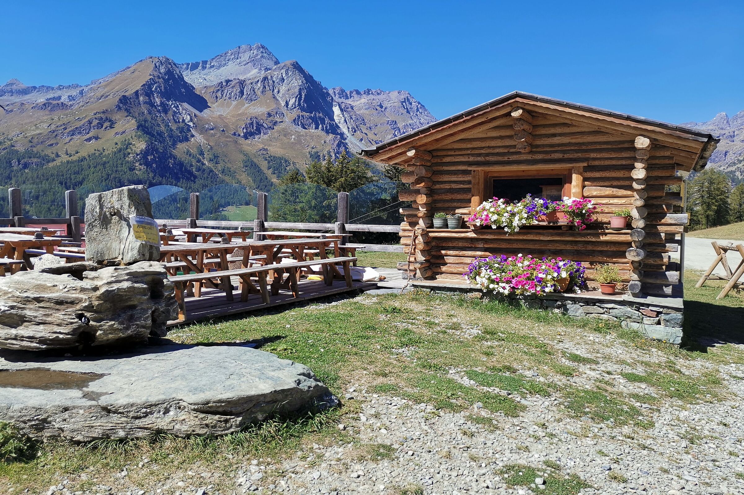 At 2000 mt. above Champoluc (Aosta Valley)