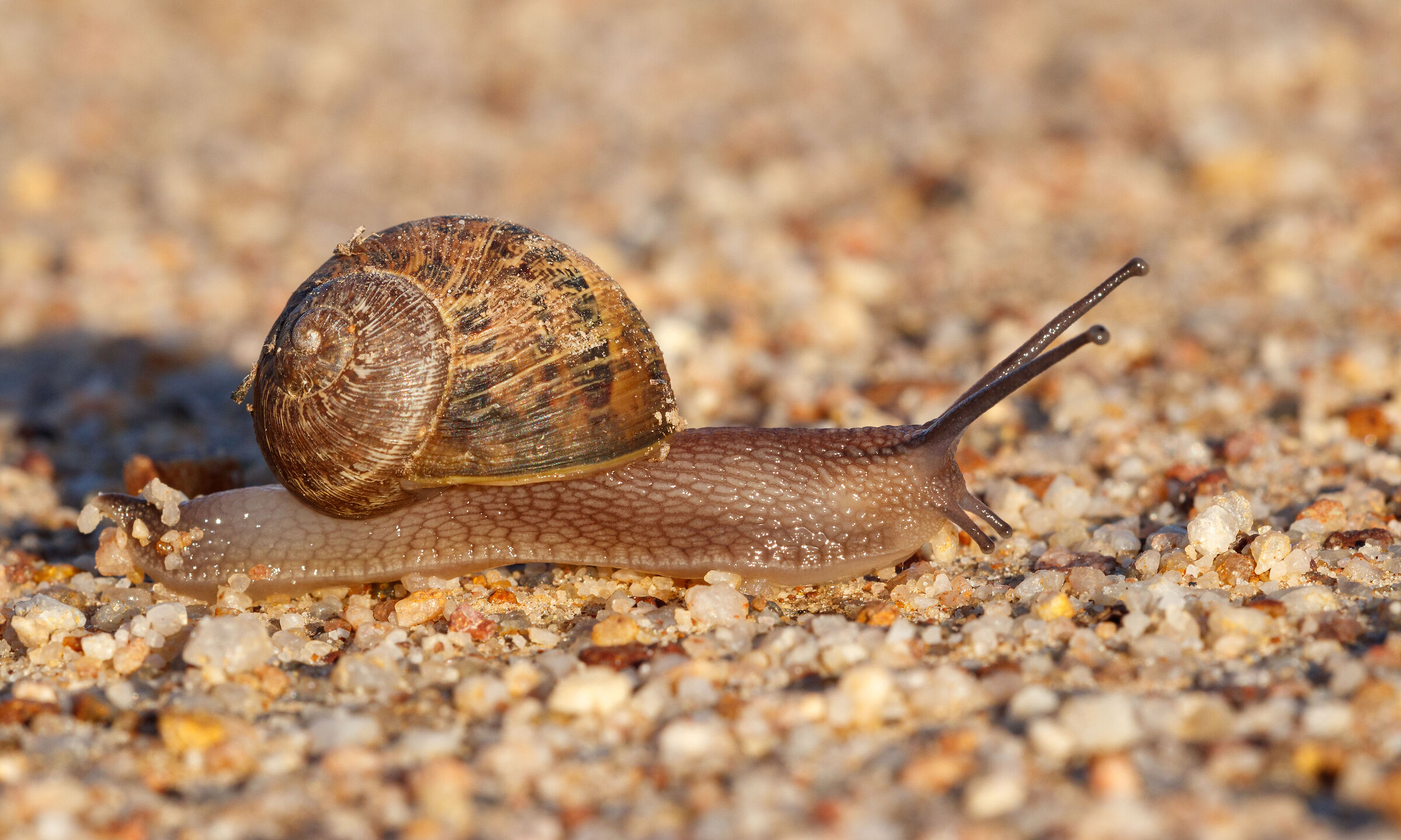 Going nowhere slowly