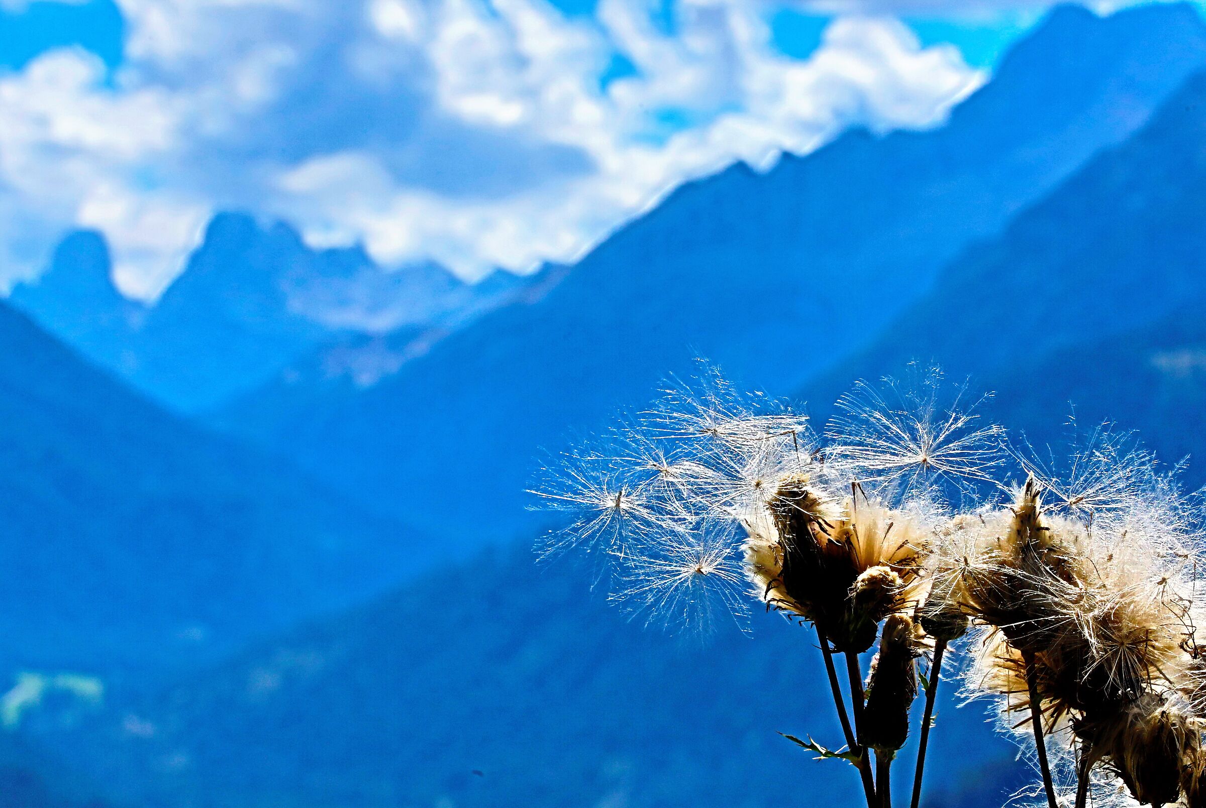paesaggio