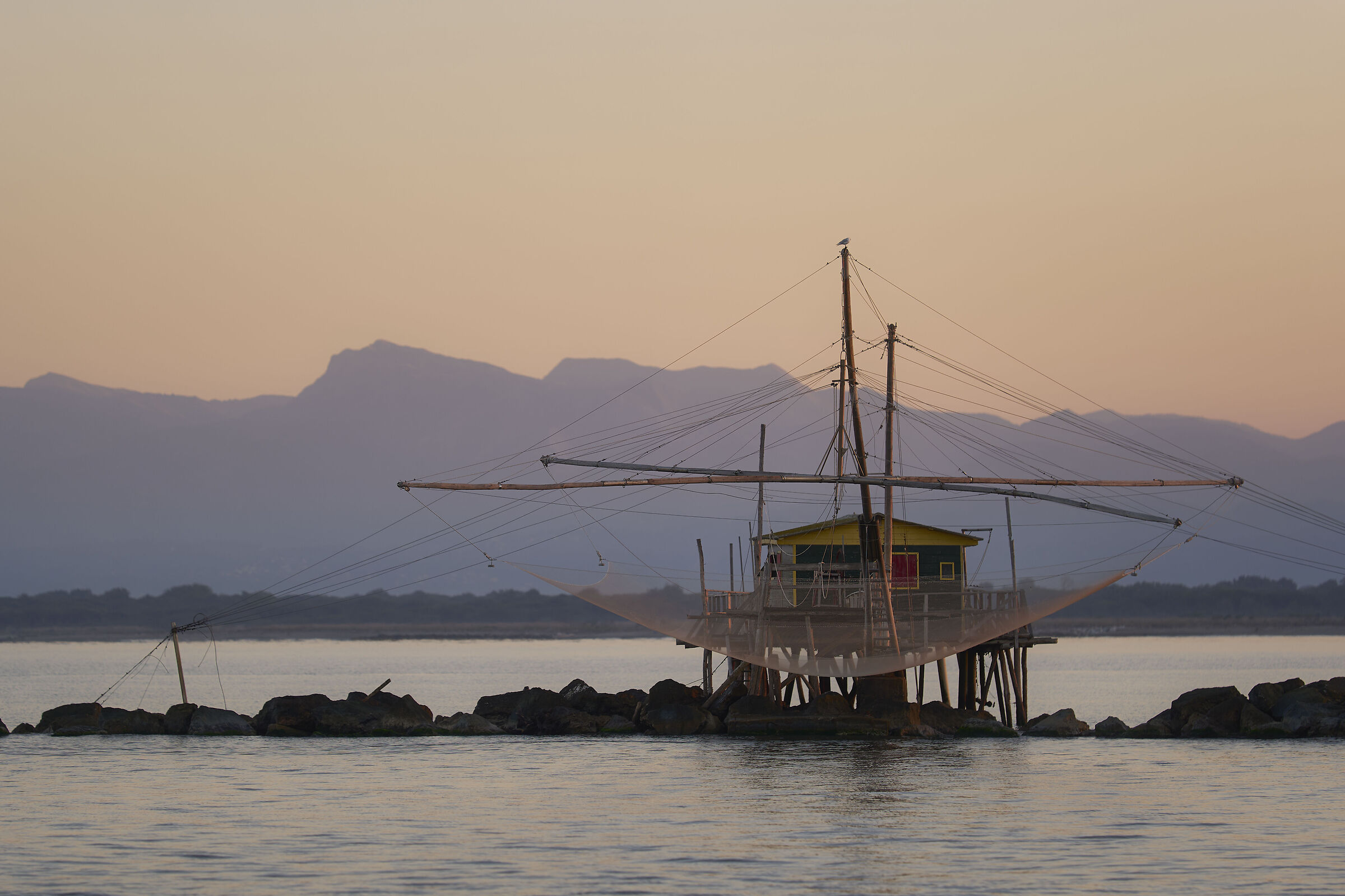 I Retoni - Marina di Pisa