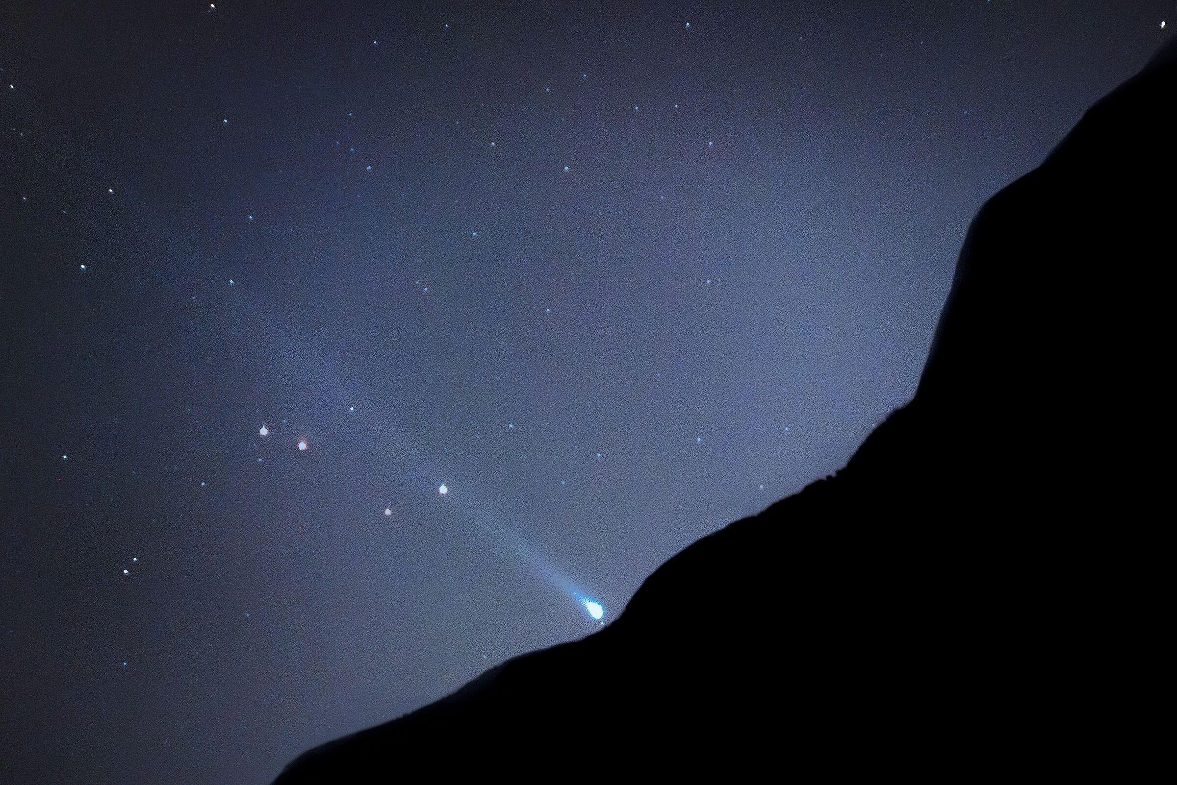 Lunga ma flebile coda